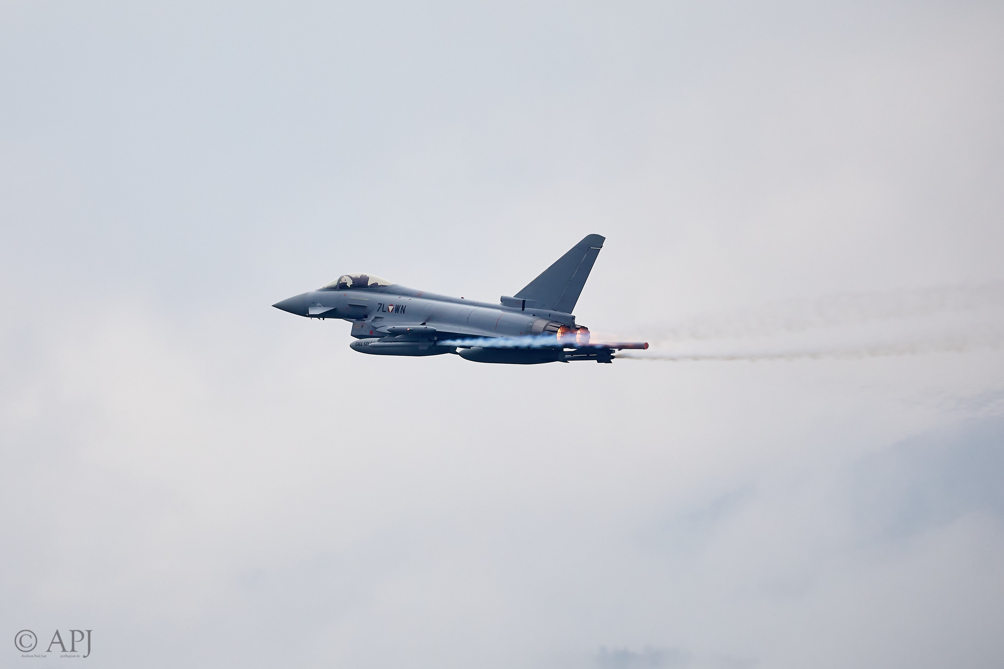 1831 APJ 8303 Airpower 2019