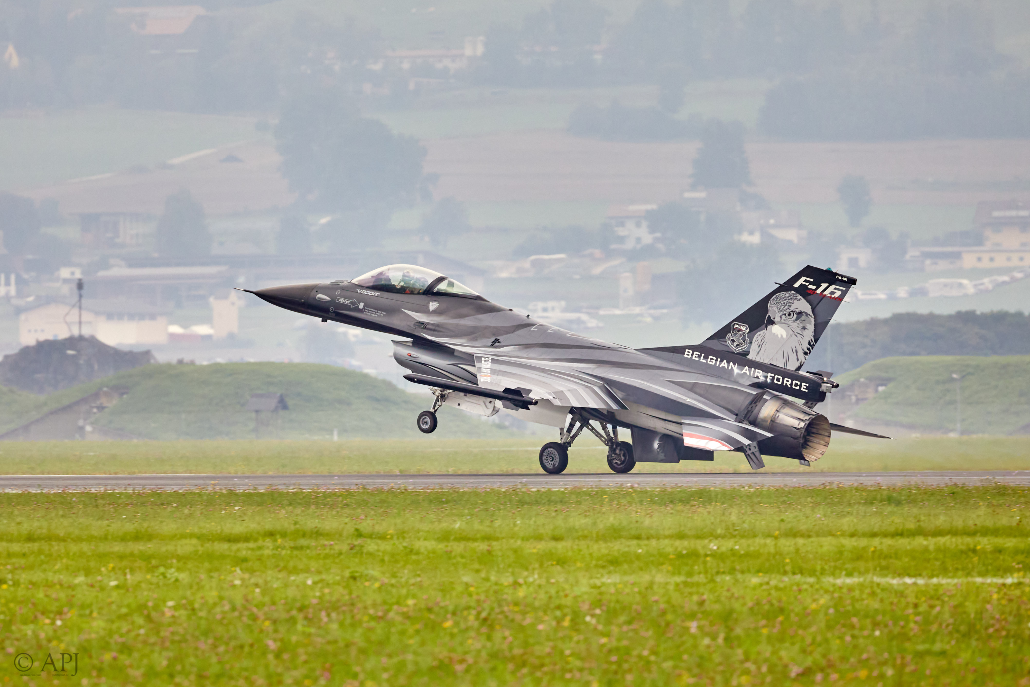 2895 APJ 9368 Airpower 2019