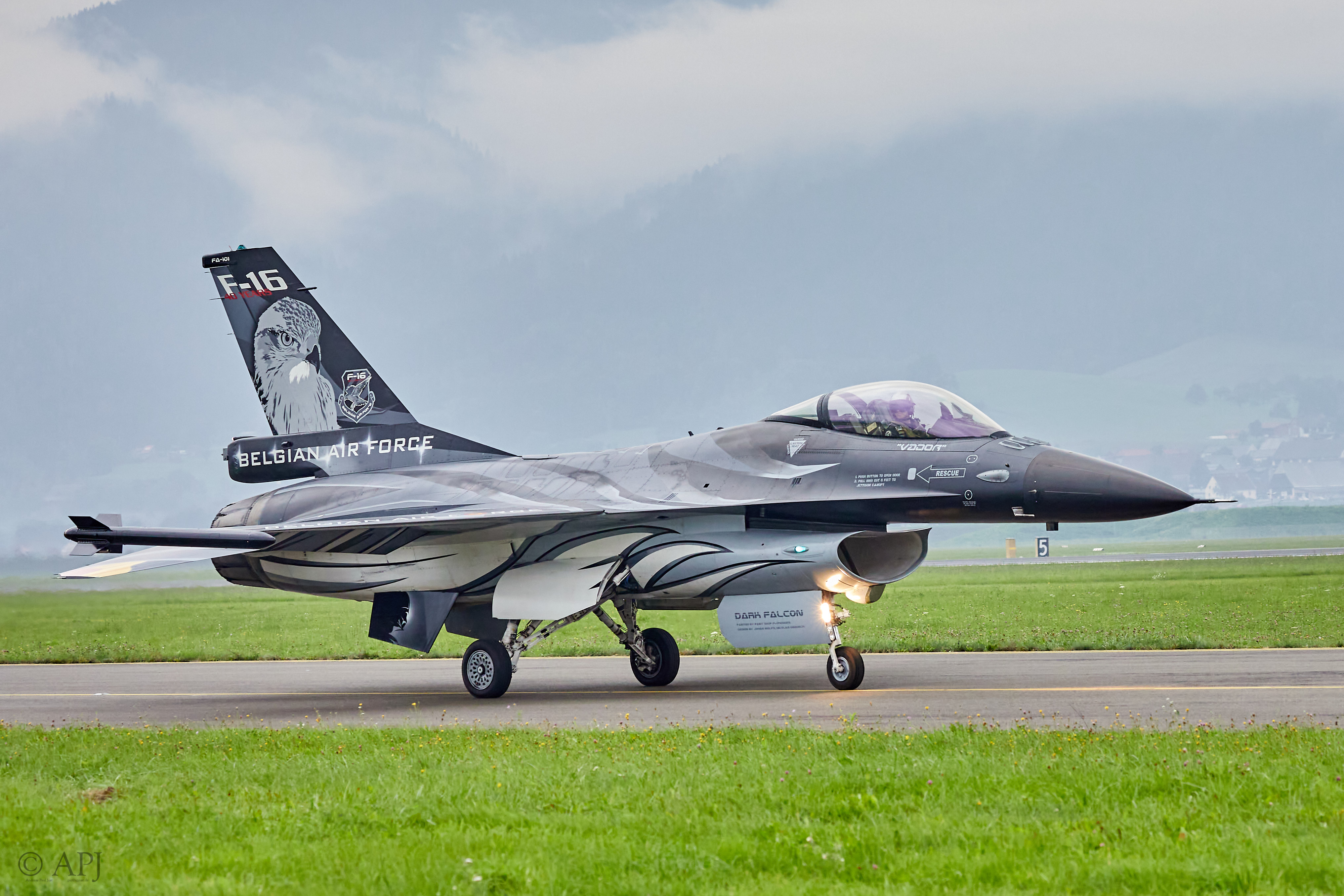2923 APJ 9396 Airpower 2019