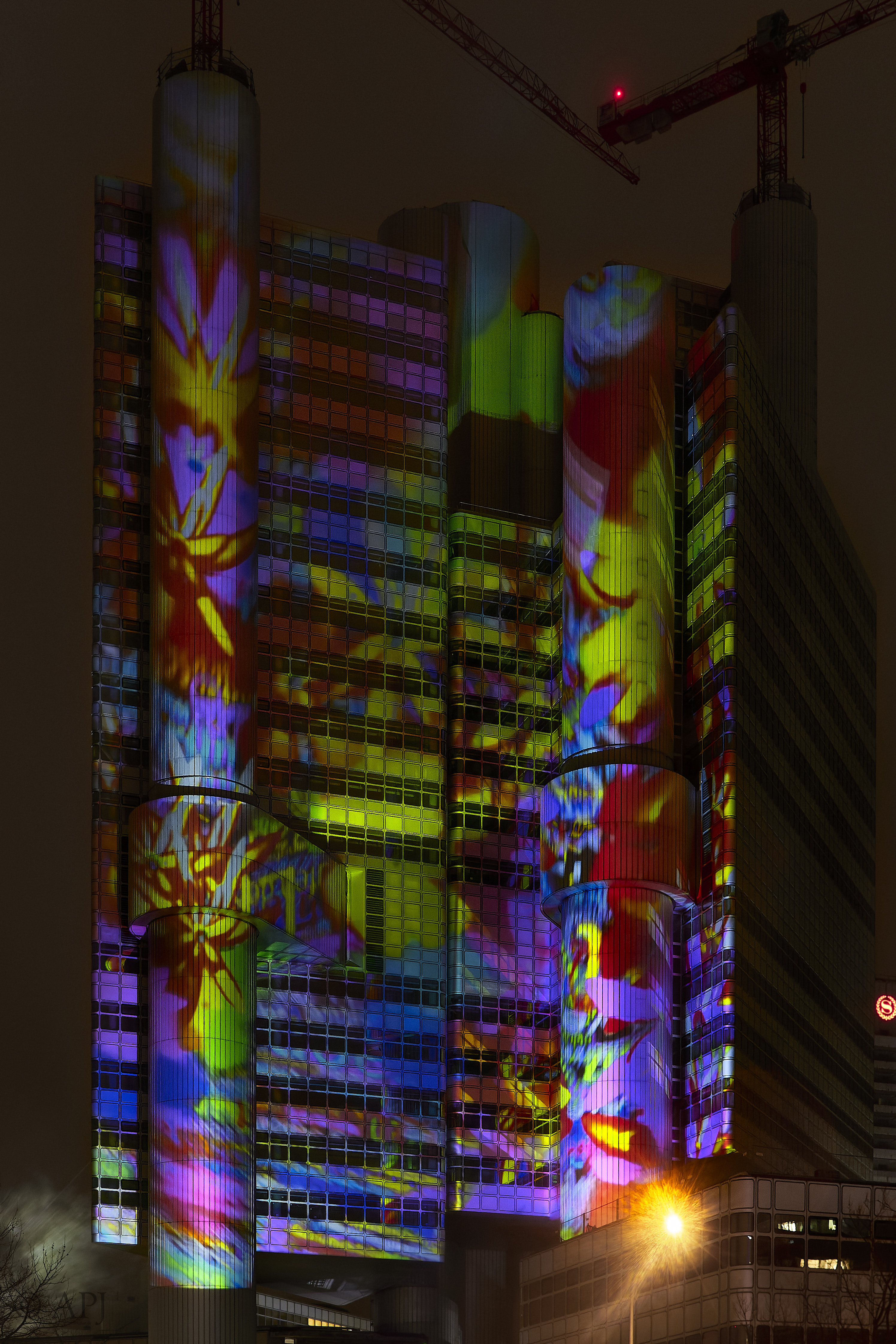 003 IMG 7746 dng DXO