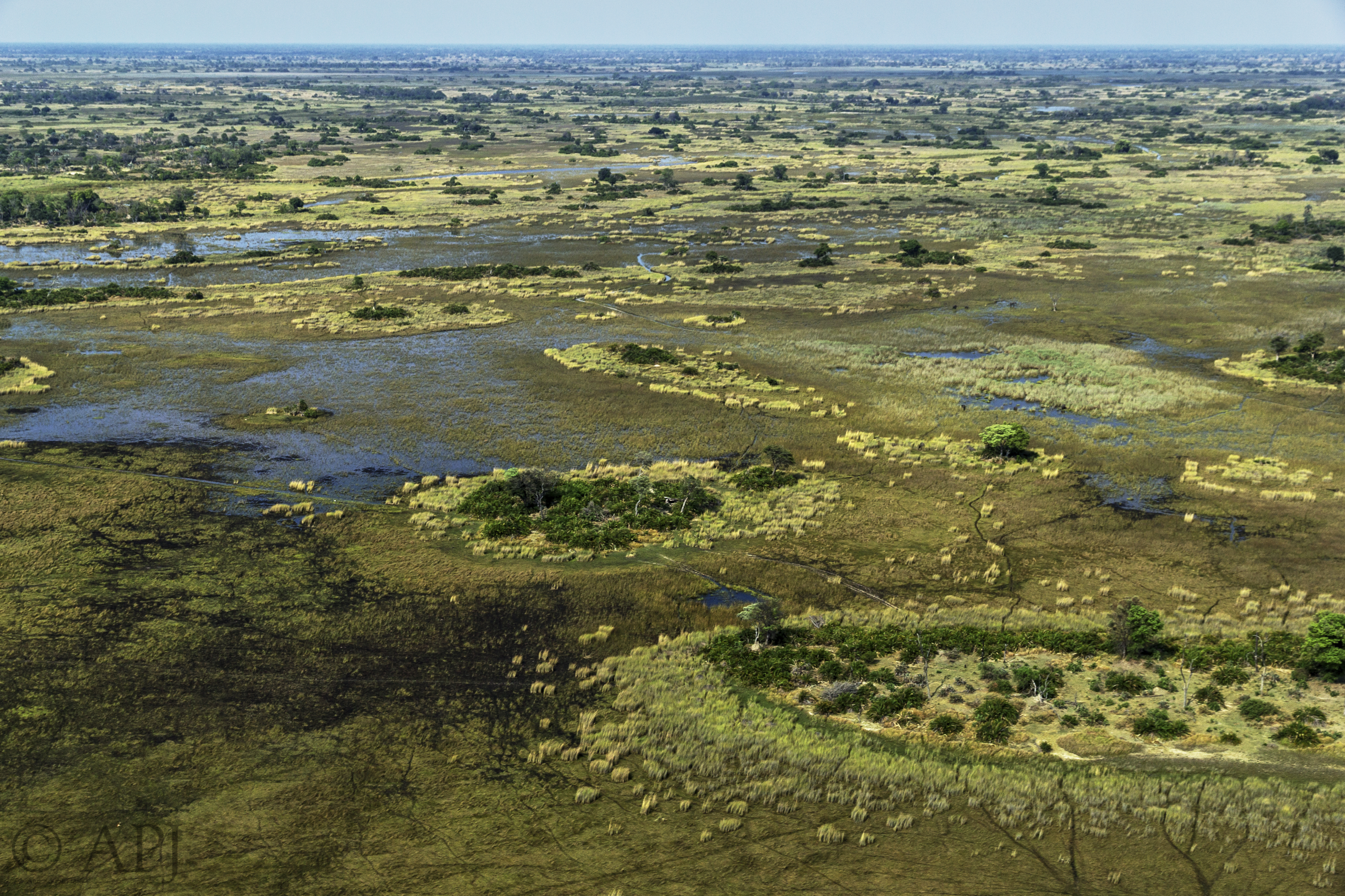 139 APJ IMG 8425 mod