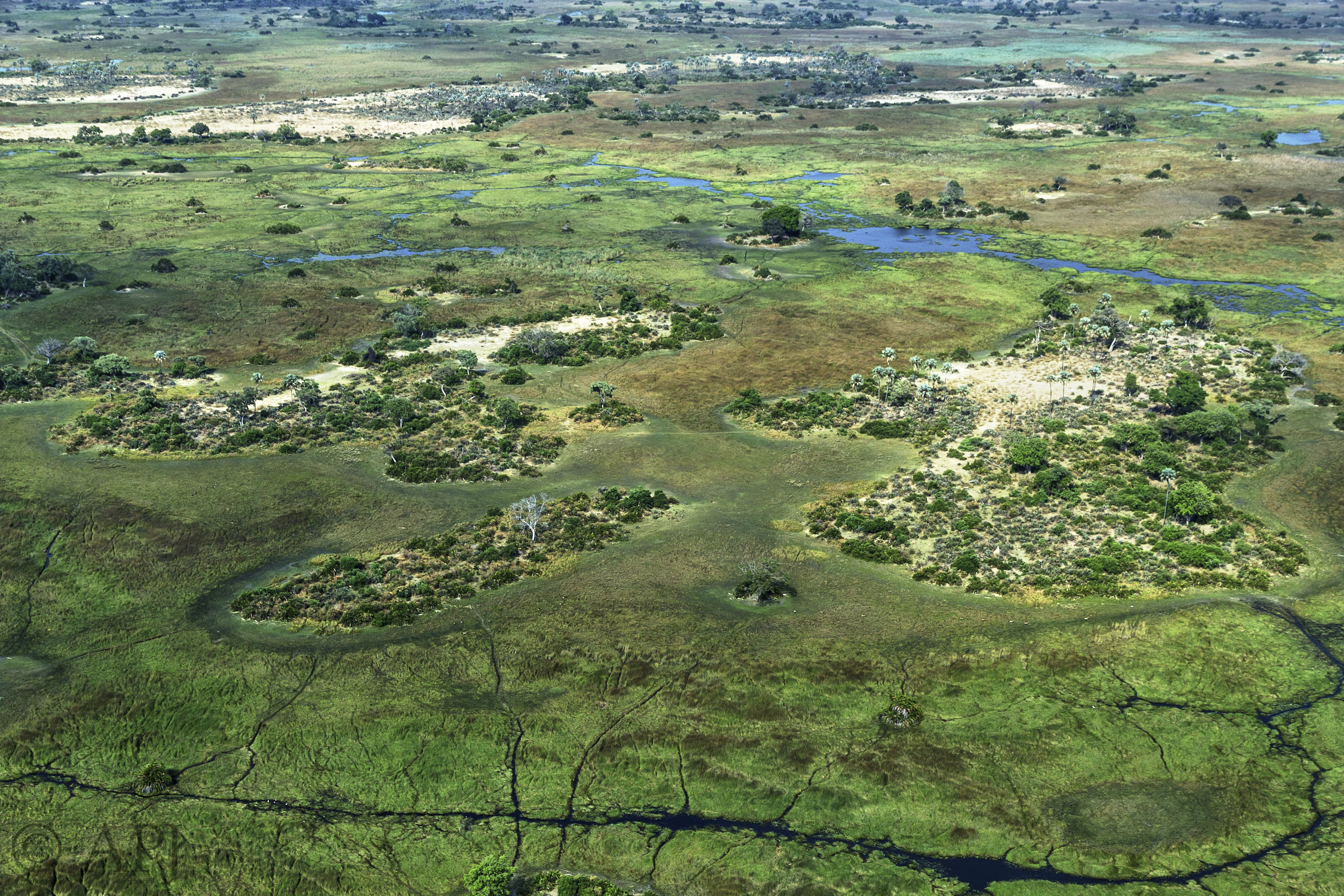 142 APJ IMG 8452 mod