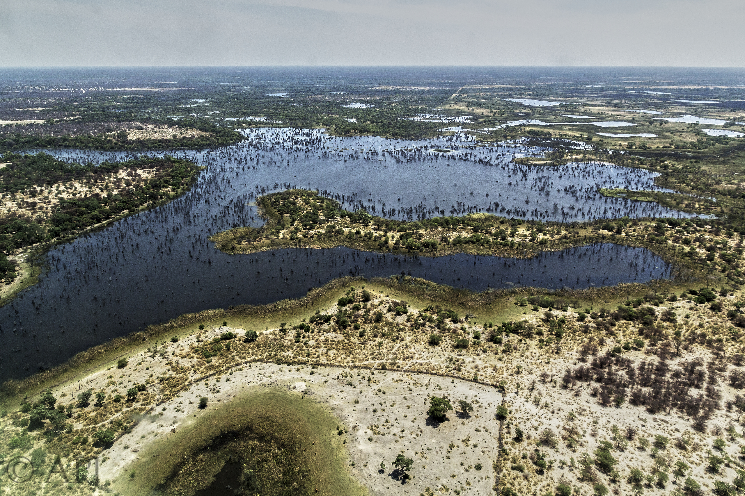 287 APJ IMG 0468 mod