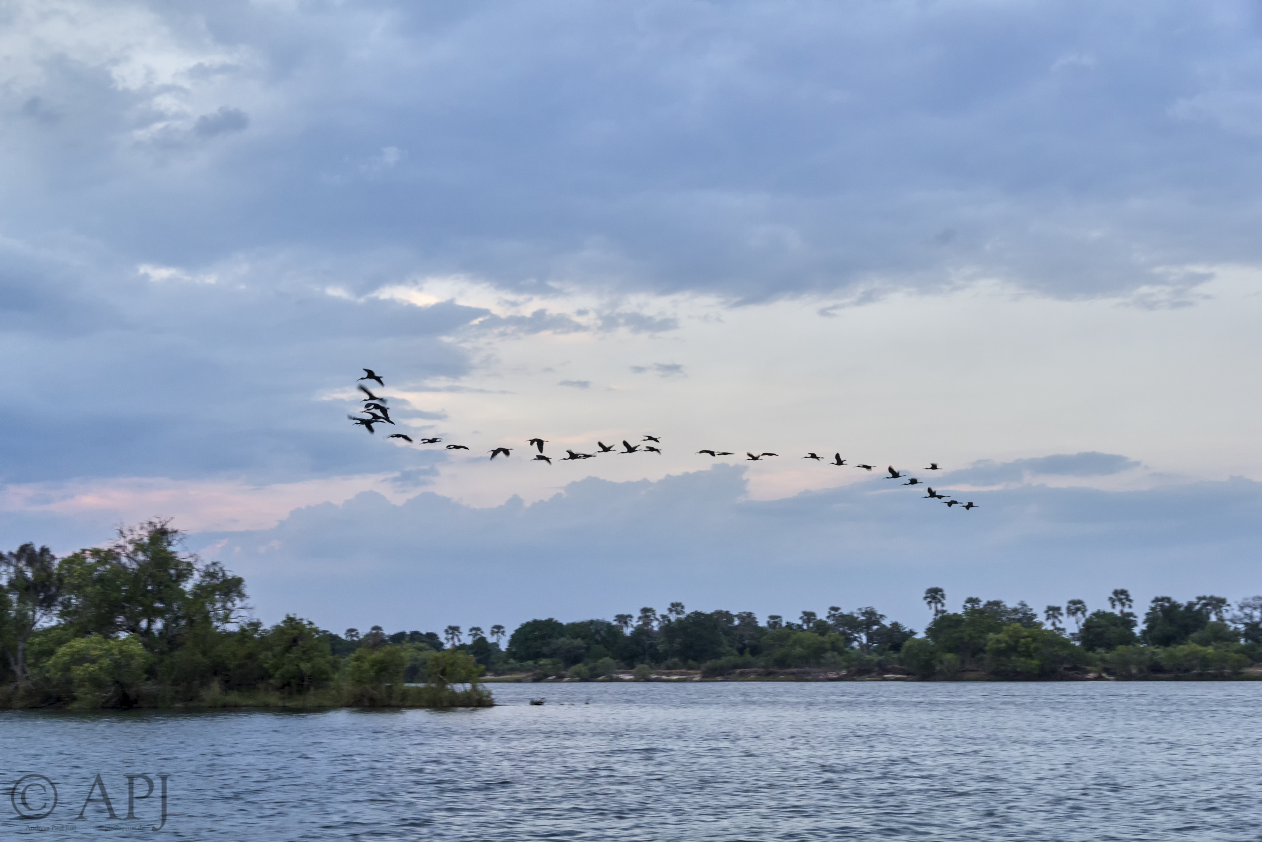 599 APJ IMG 5228 mod