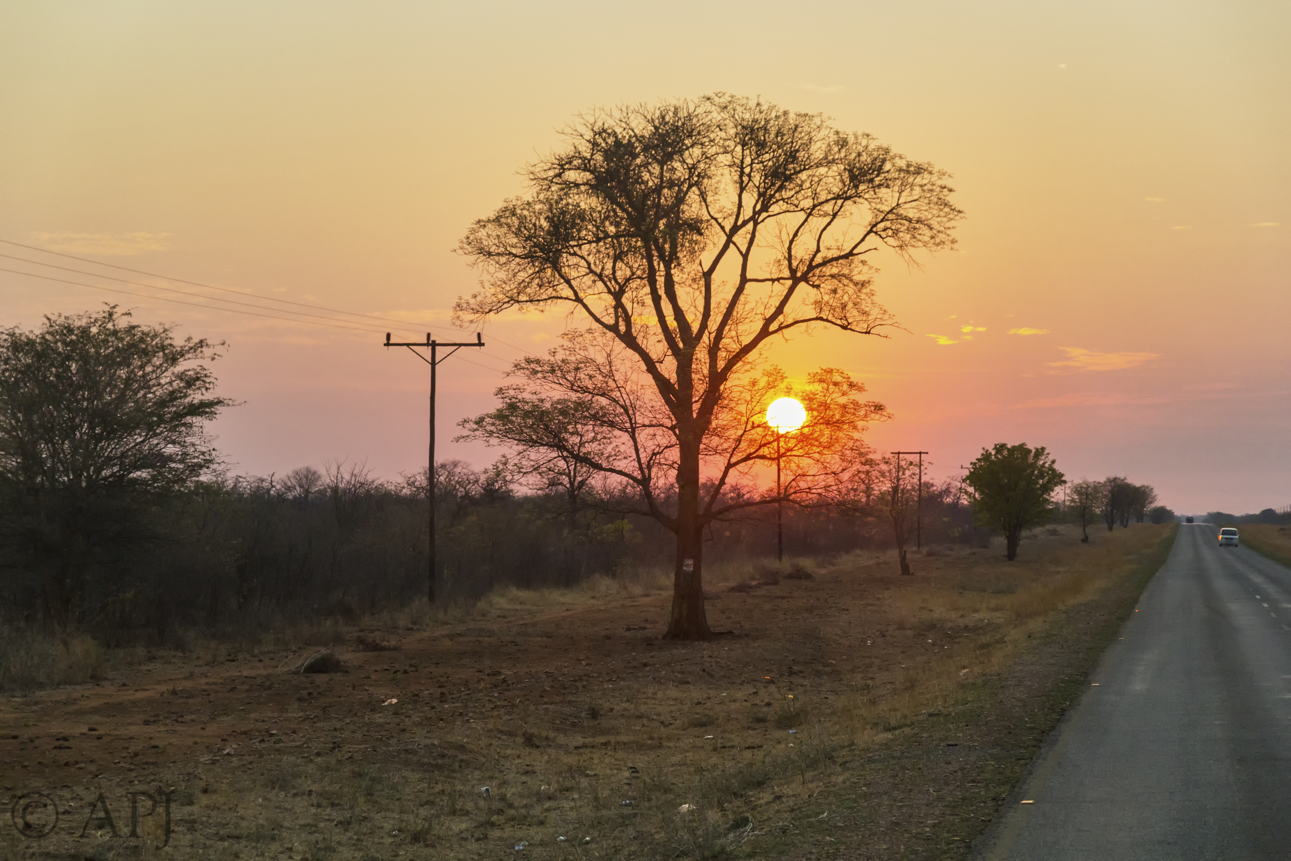 606 APJ IMG 5265 mod