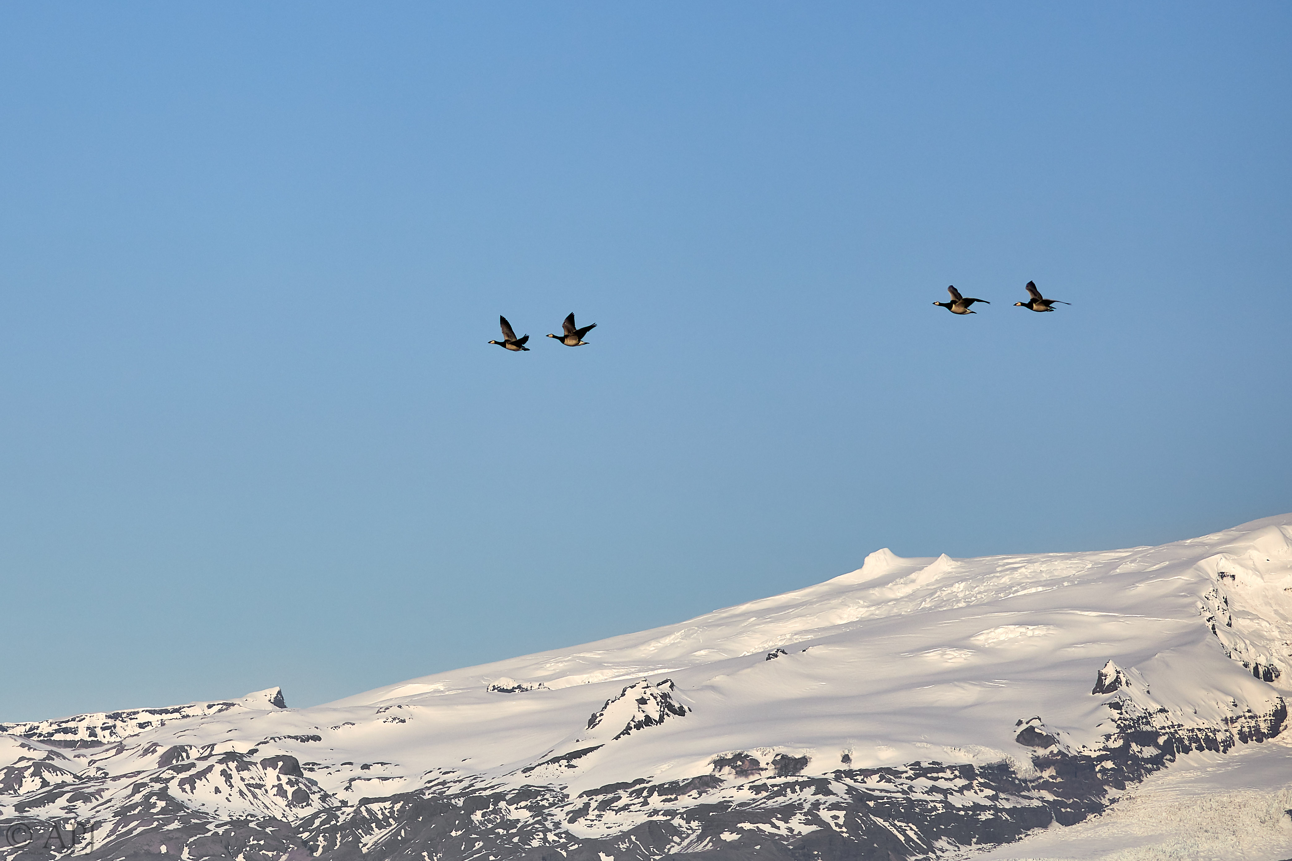 1499  073053000741 APJ 5837