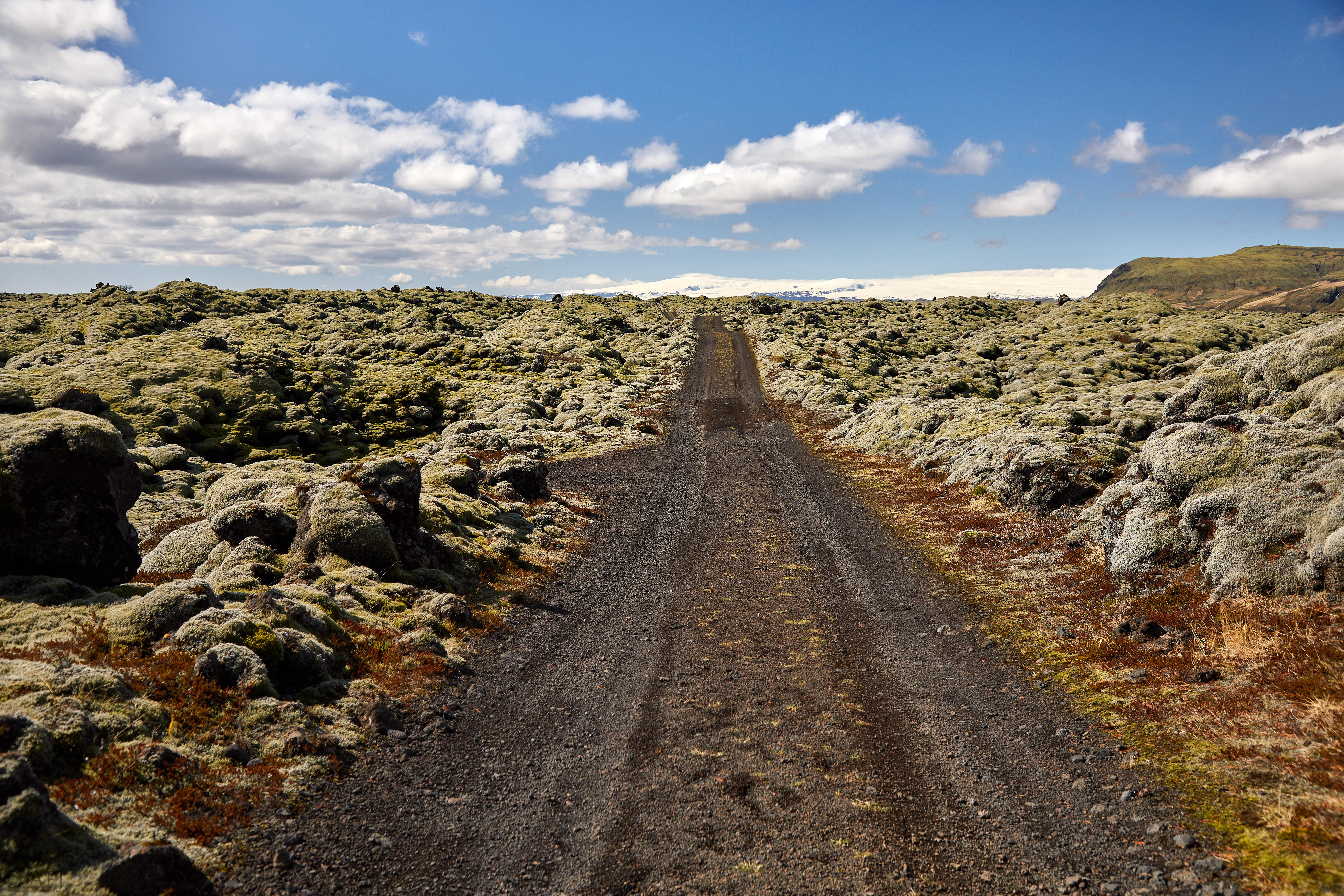 1648  073053000741 APJ 5989