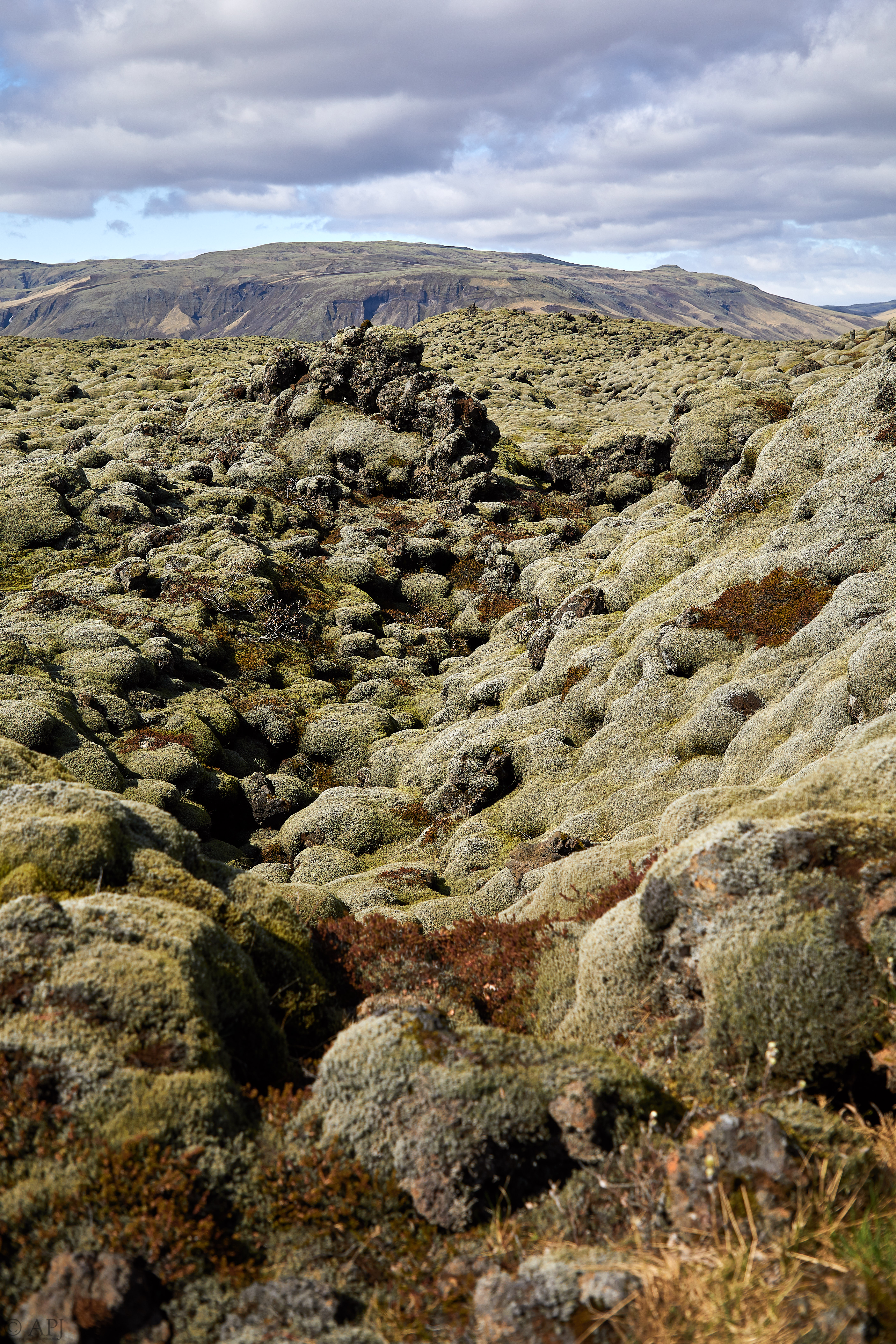 1649  073053000741 APJ 5990