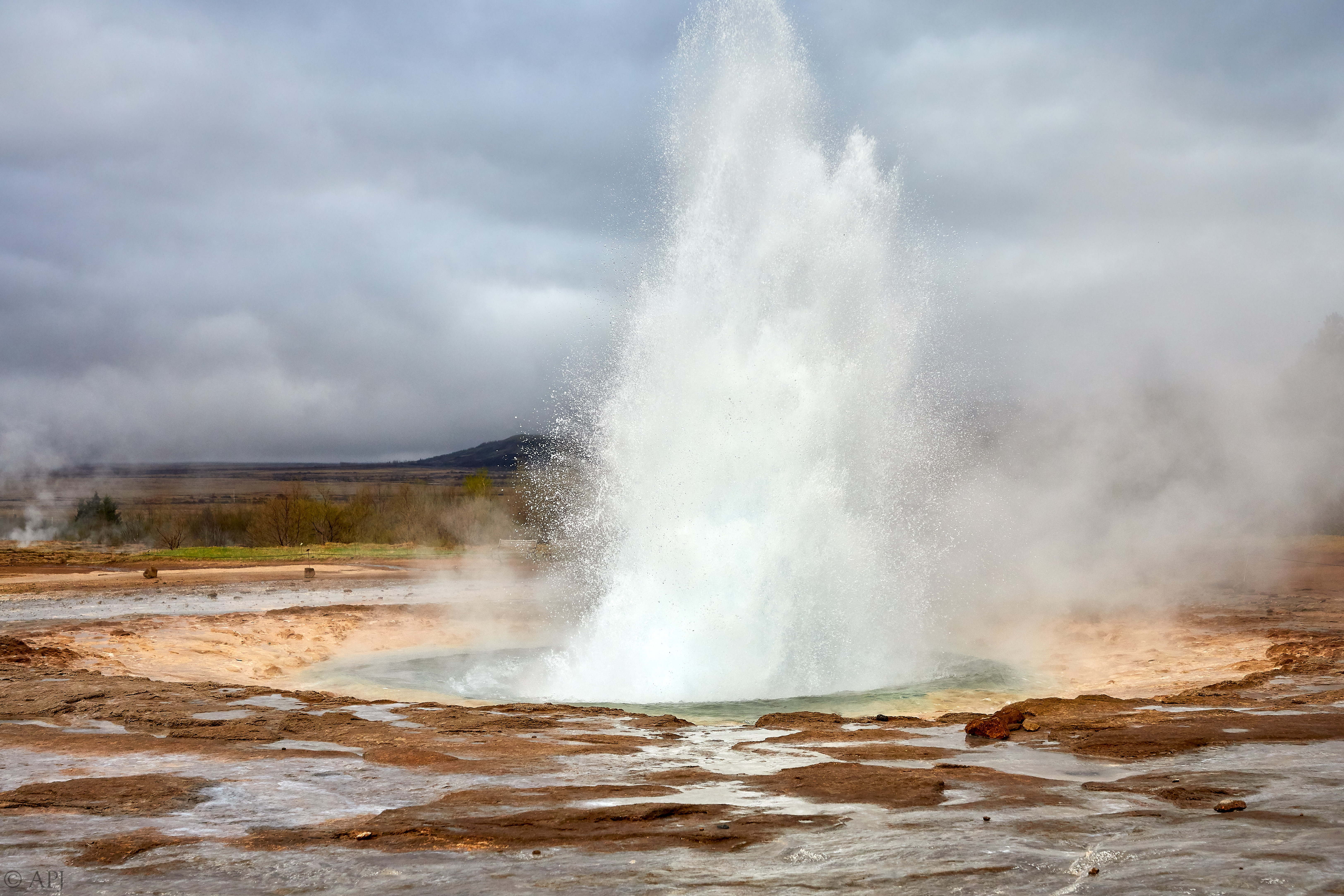 307  073053000741 APJ 4641