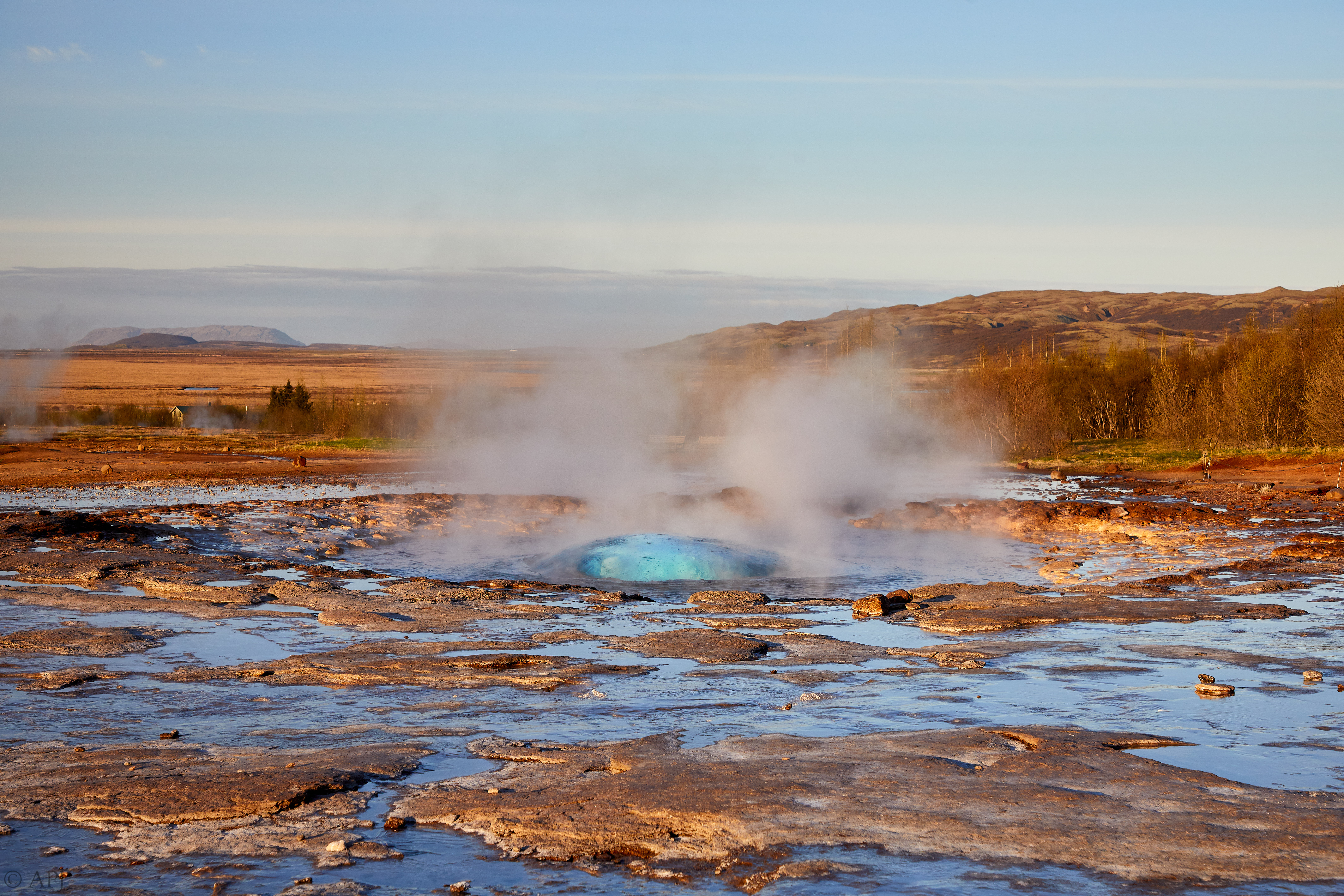 973  073053000741 APJ 5309