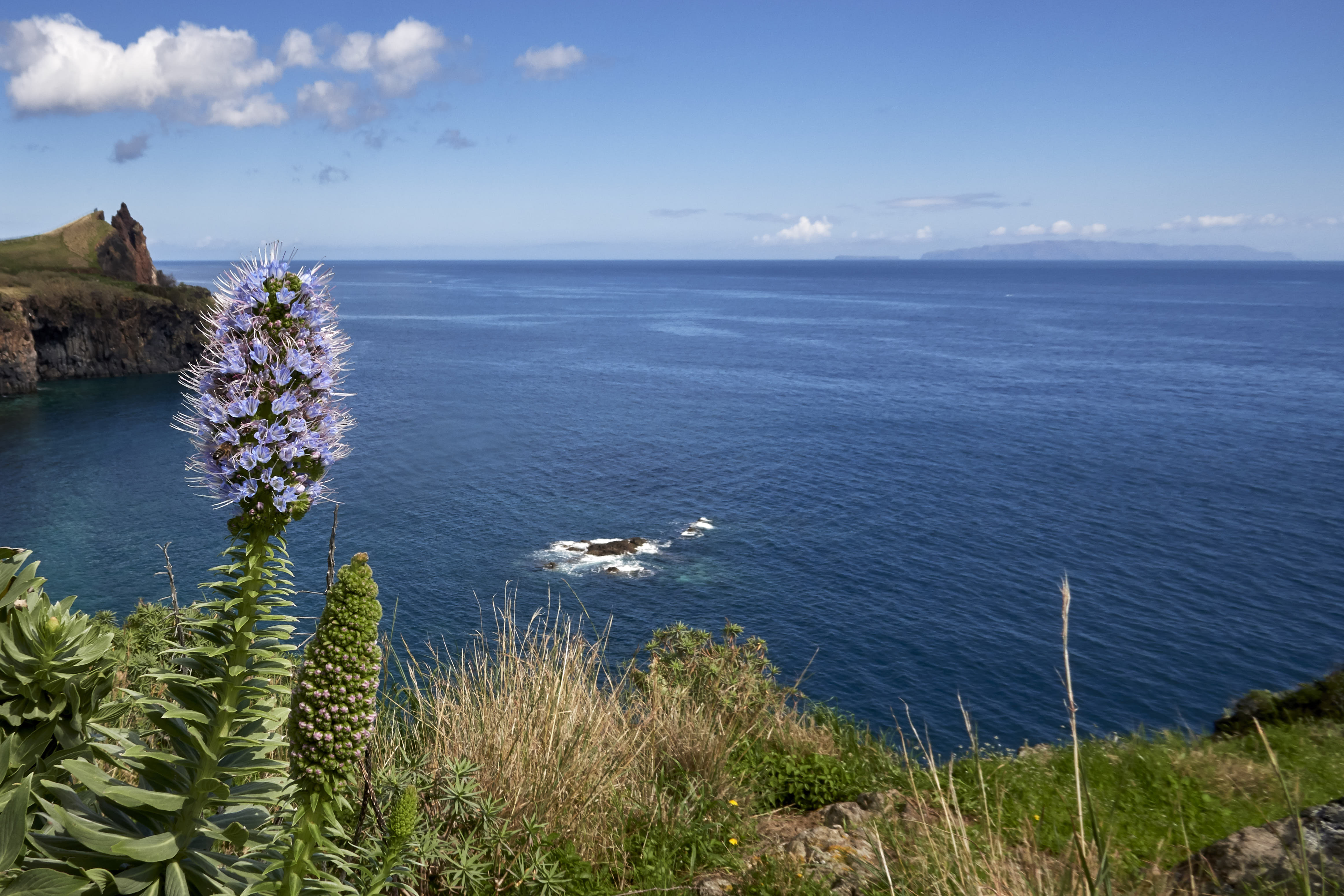 0309  Urlaub Madeira 032018