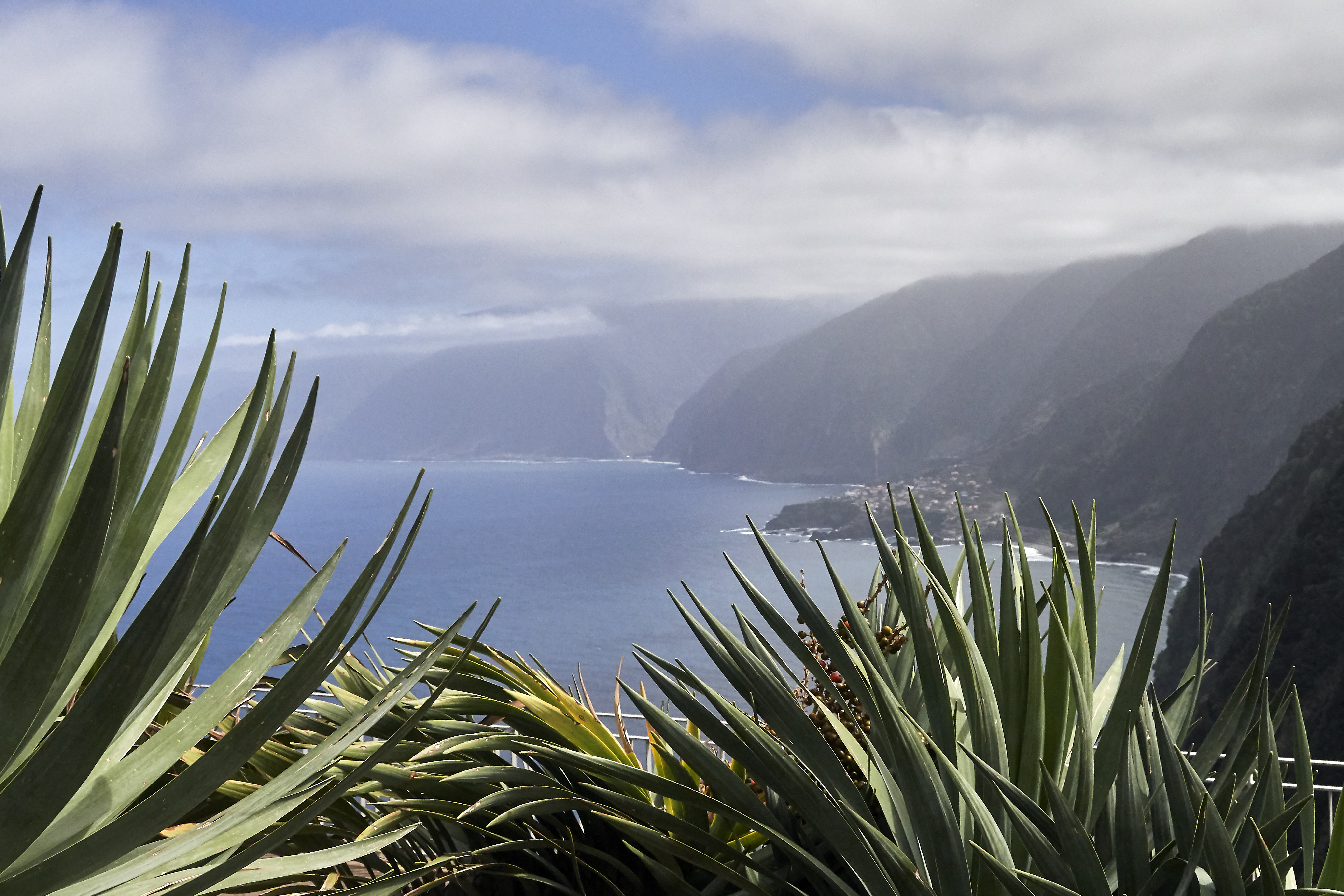 0486  Urlaub Madeira 032018