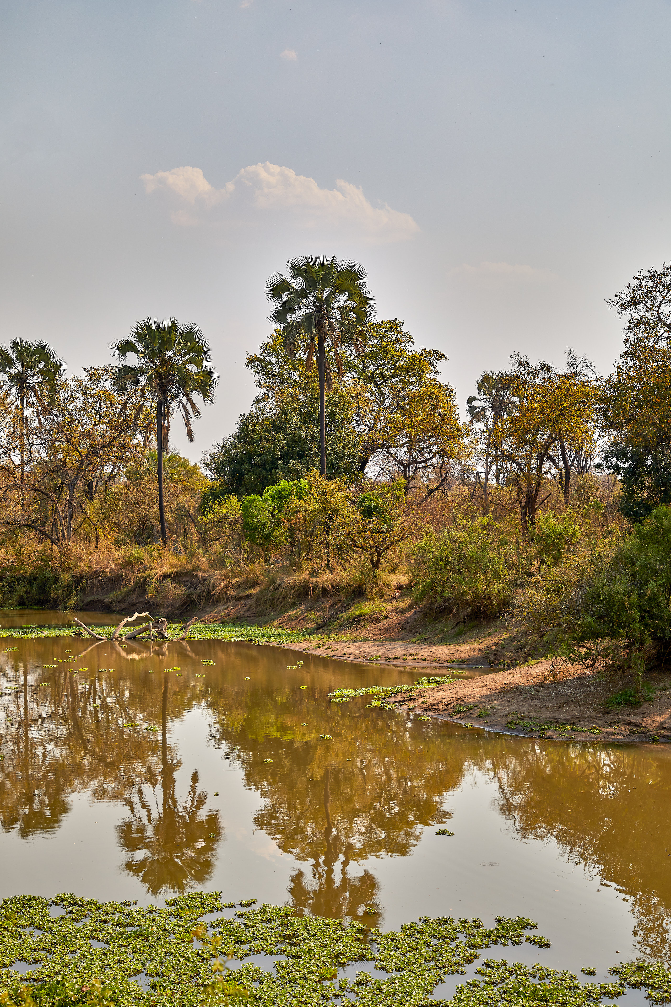00001 APJ Sambia Malawi 2018 00016