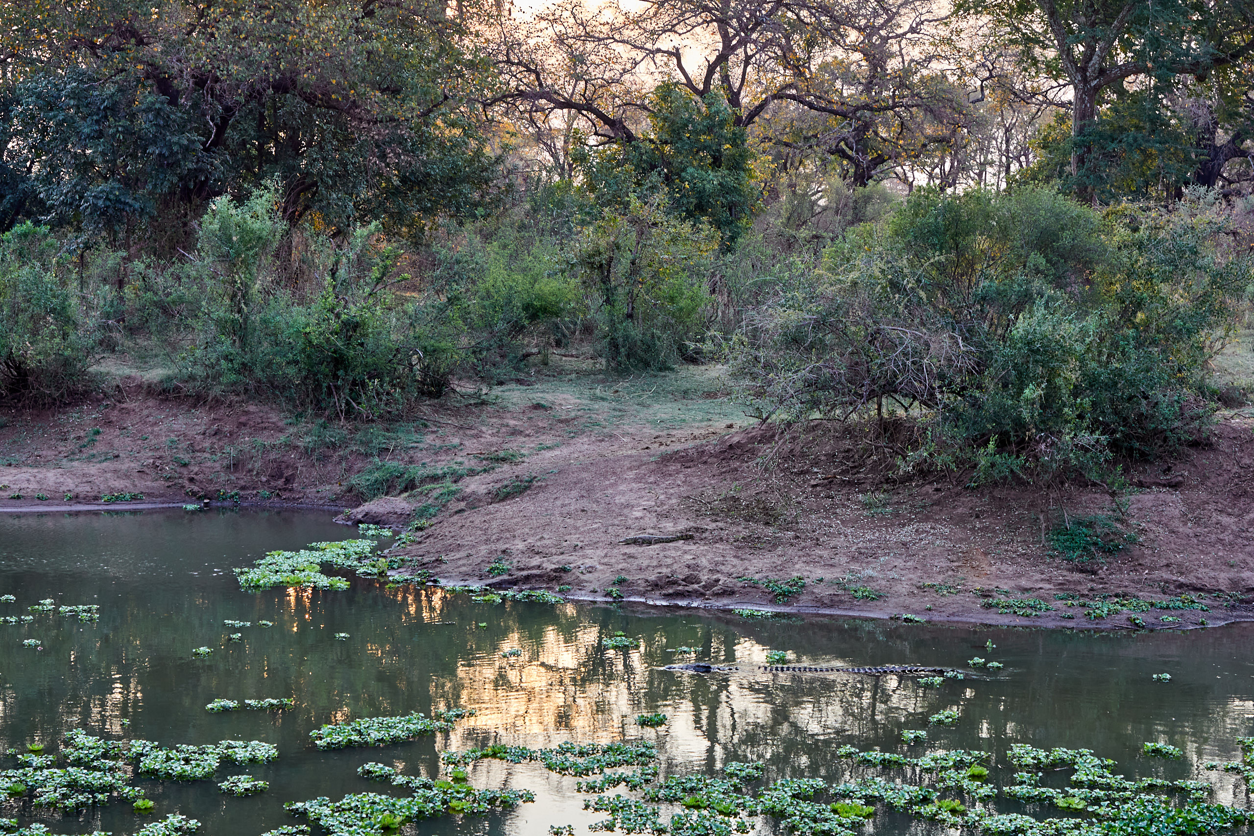 00006 APJ Sambia Malawi 2018 00055