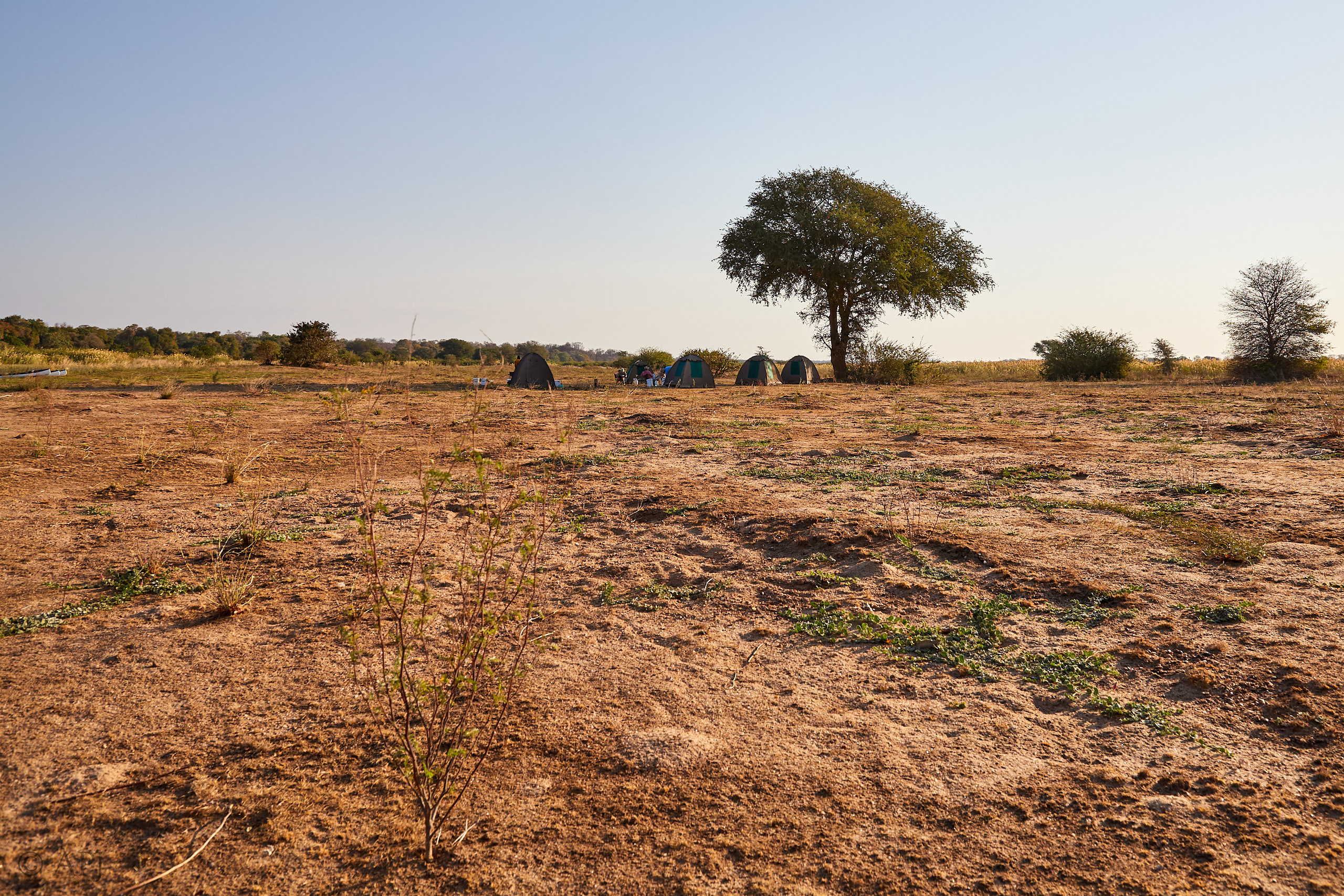 00045 APJ Sambia Malawi 2018 00277