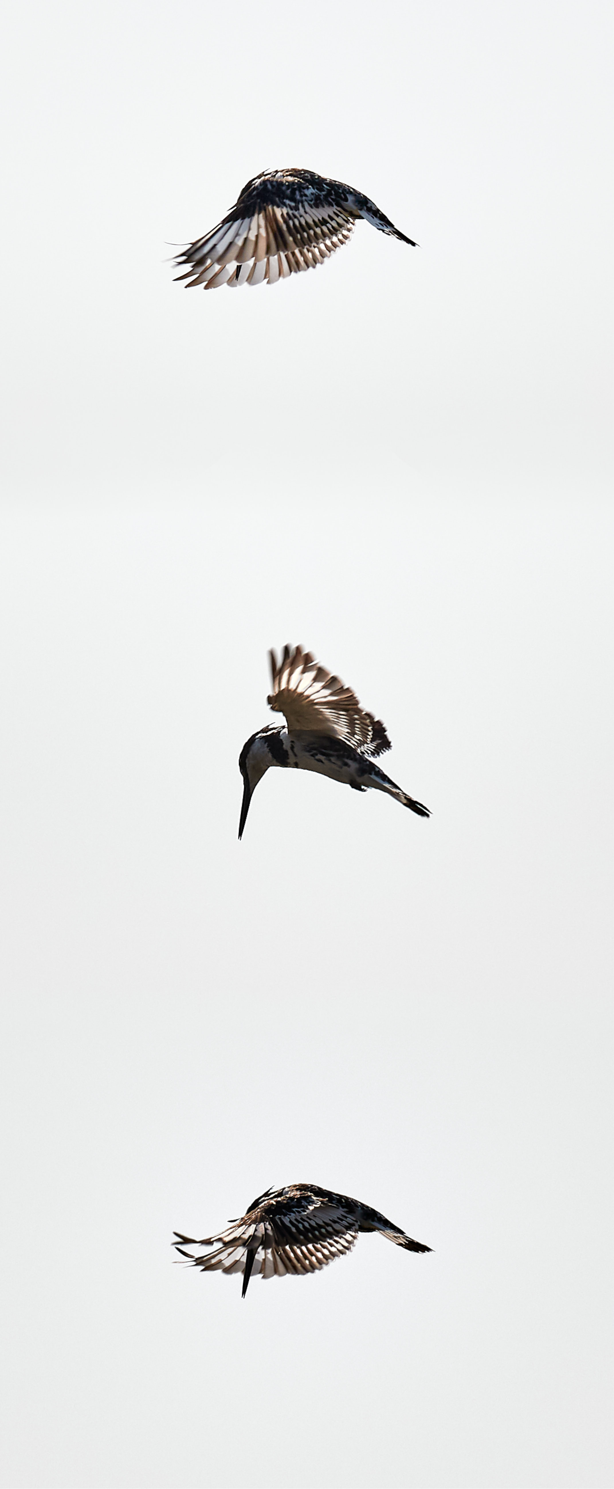 00069 APJ Sambia Malawi 2018 00003