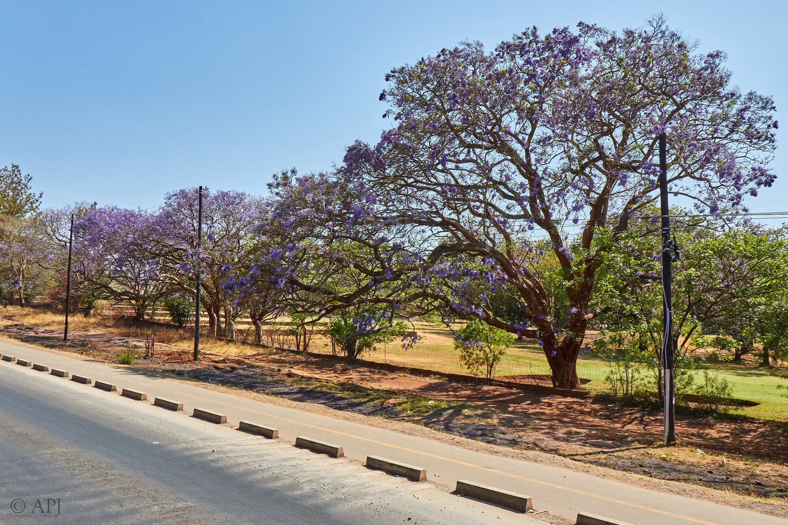 00082 APJ Sambia Malawi 2018 00647