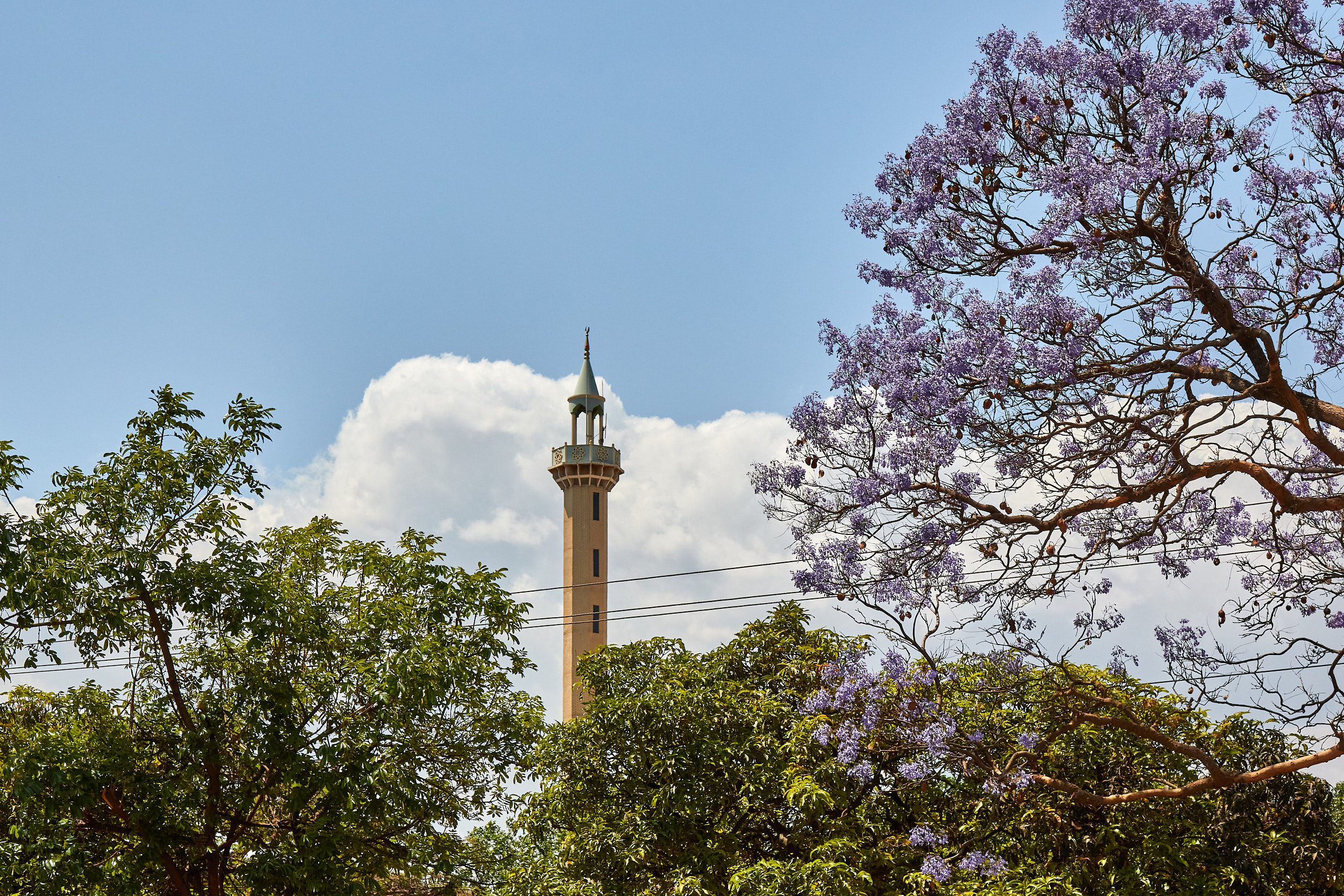 00086 APJ Sambia Malawi 2018 00679