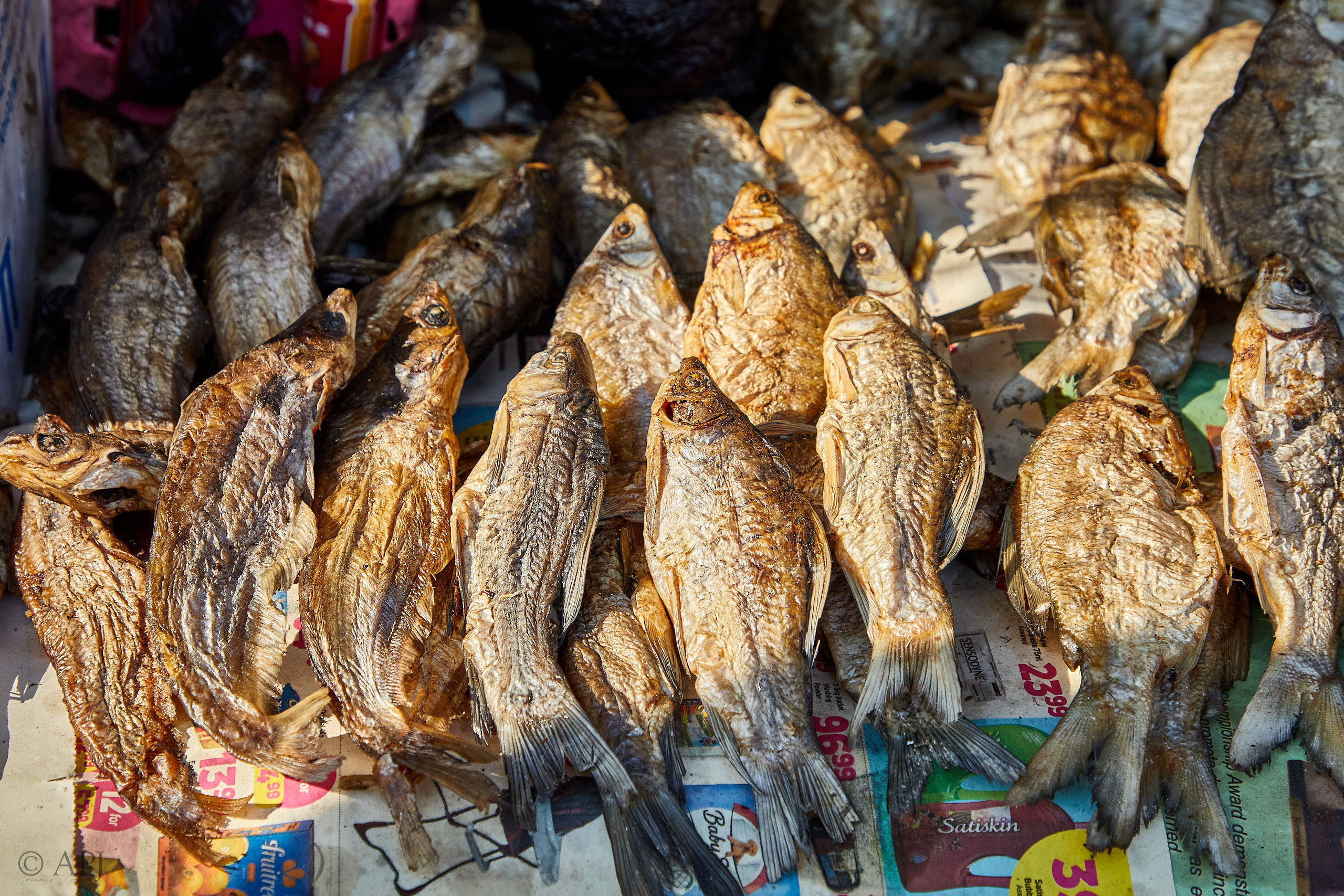 00101 APJ Sambia Malawi 2018 00743