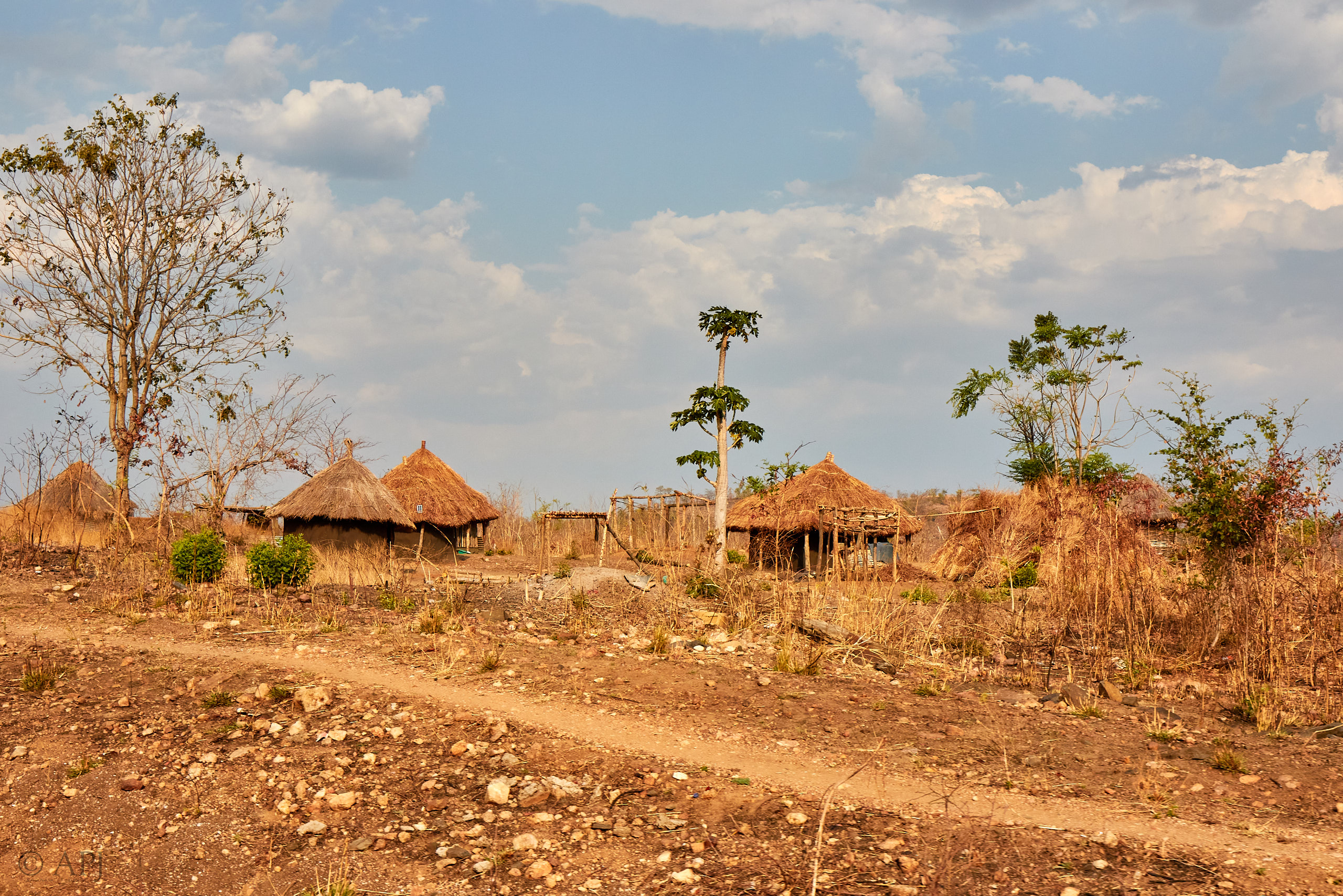 00111 APJ Sambia Malawi 2018 00779