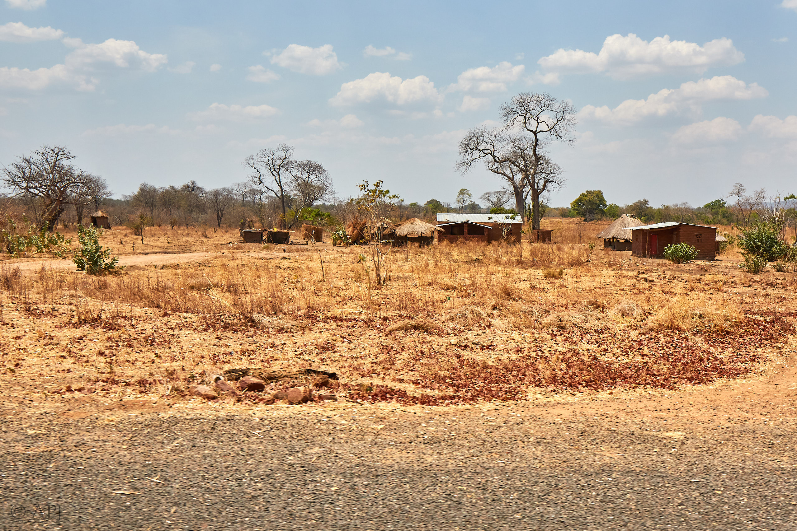 00119 APJ Sambia Malawi 2018 00805