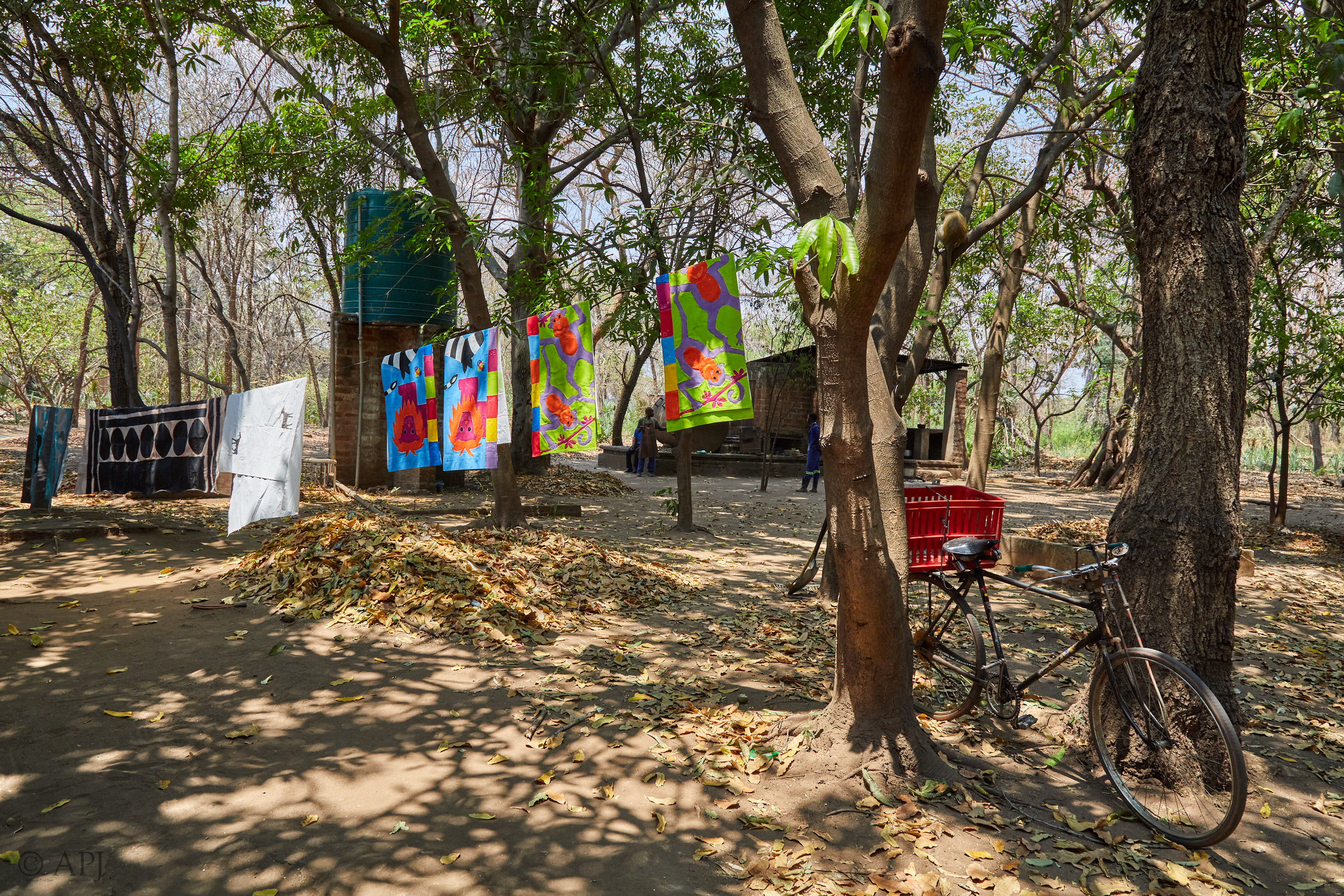 00125 APJ Sambia Malawi 2018 00824