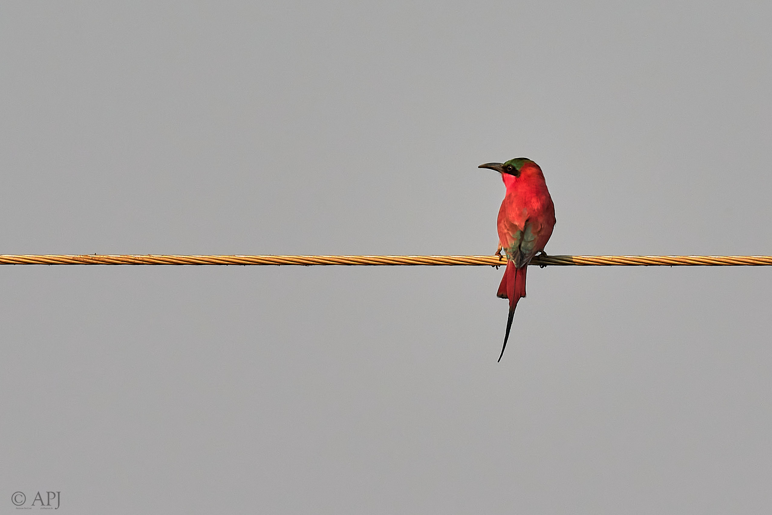 00151 APJ Sambia Malawi 2018 01023