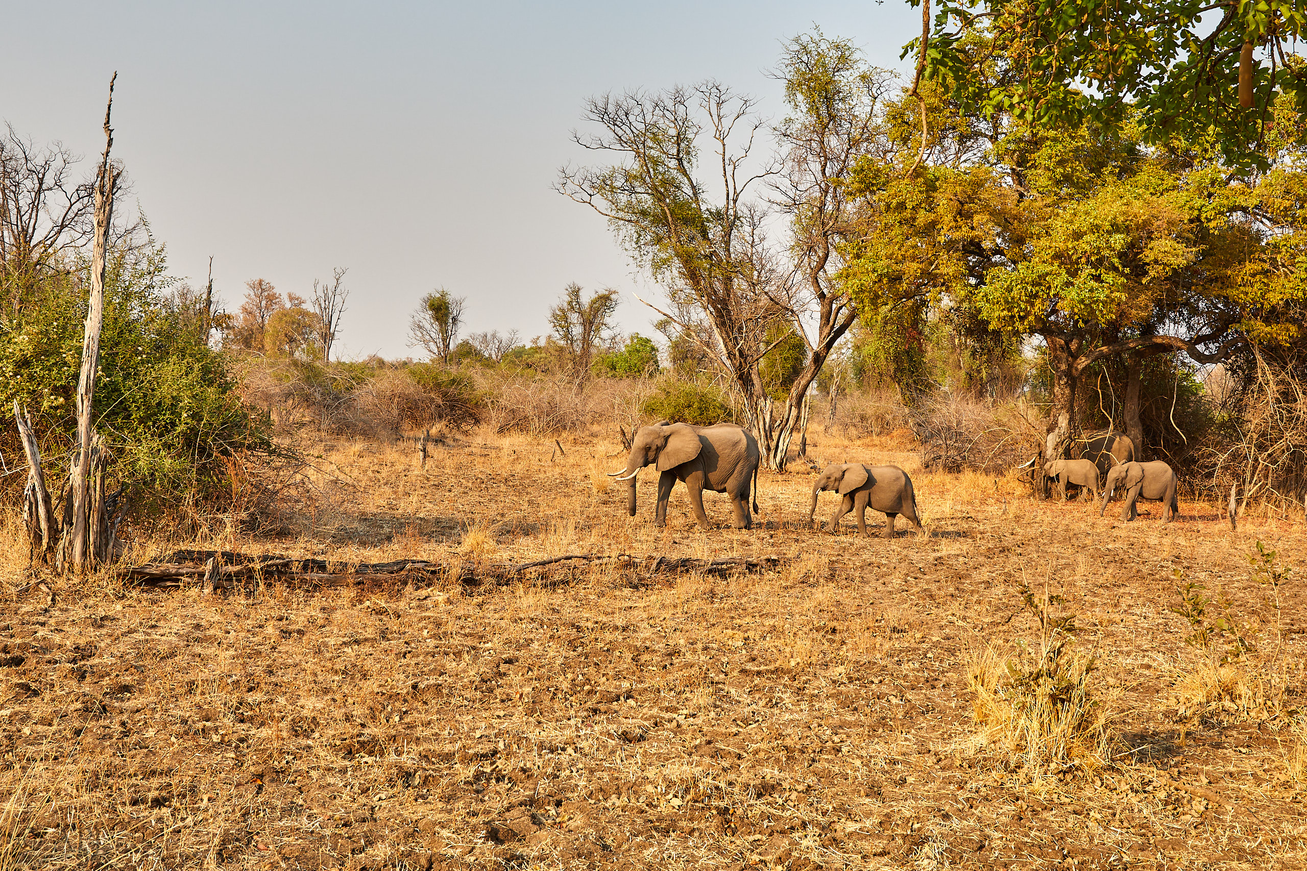 00157 APJ Sambia Malawi 2018 01073