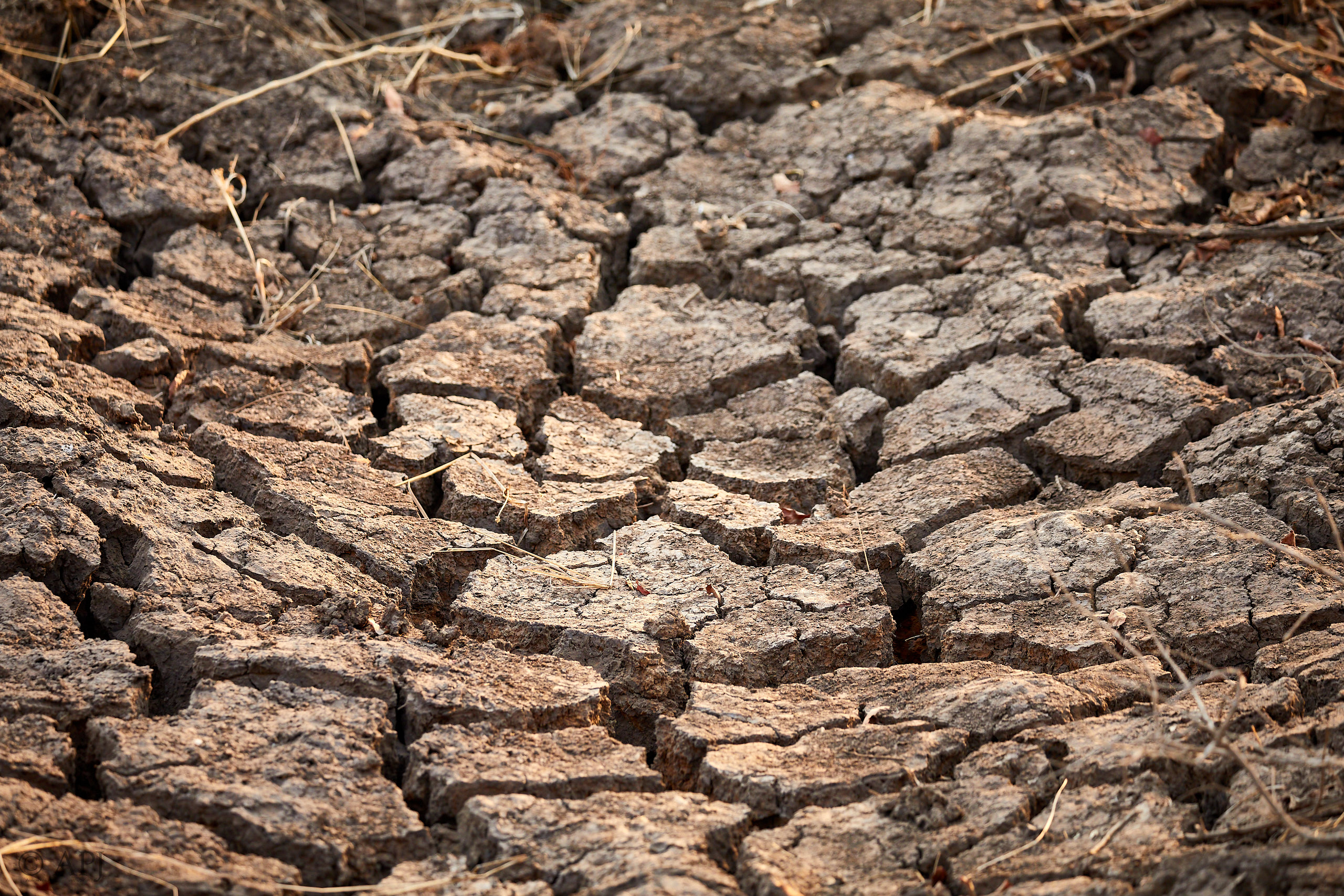 00209 APJ Sambia Malawi 2018 01622