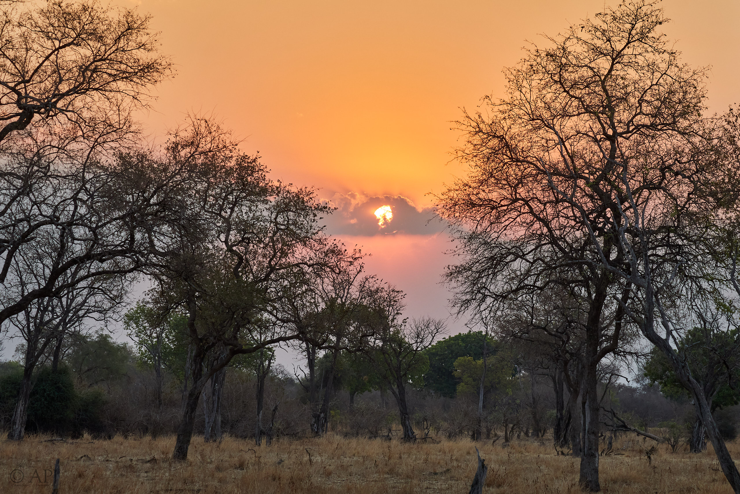 00215 APJ Sambia Malawi 2018 01671