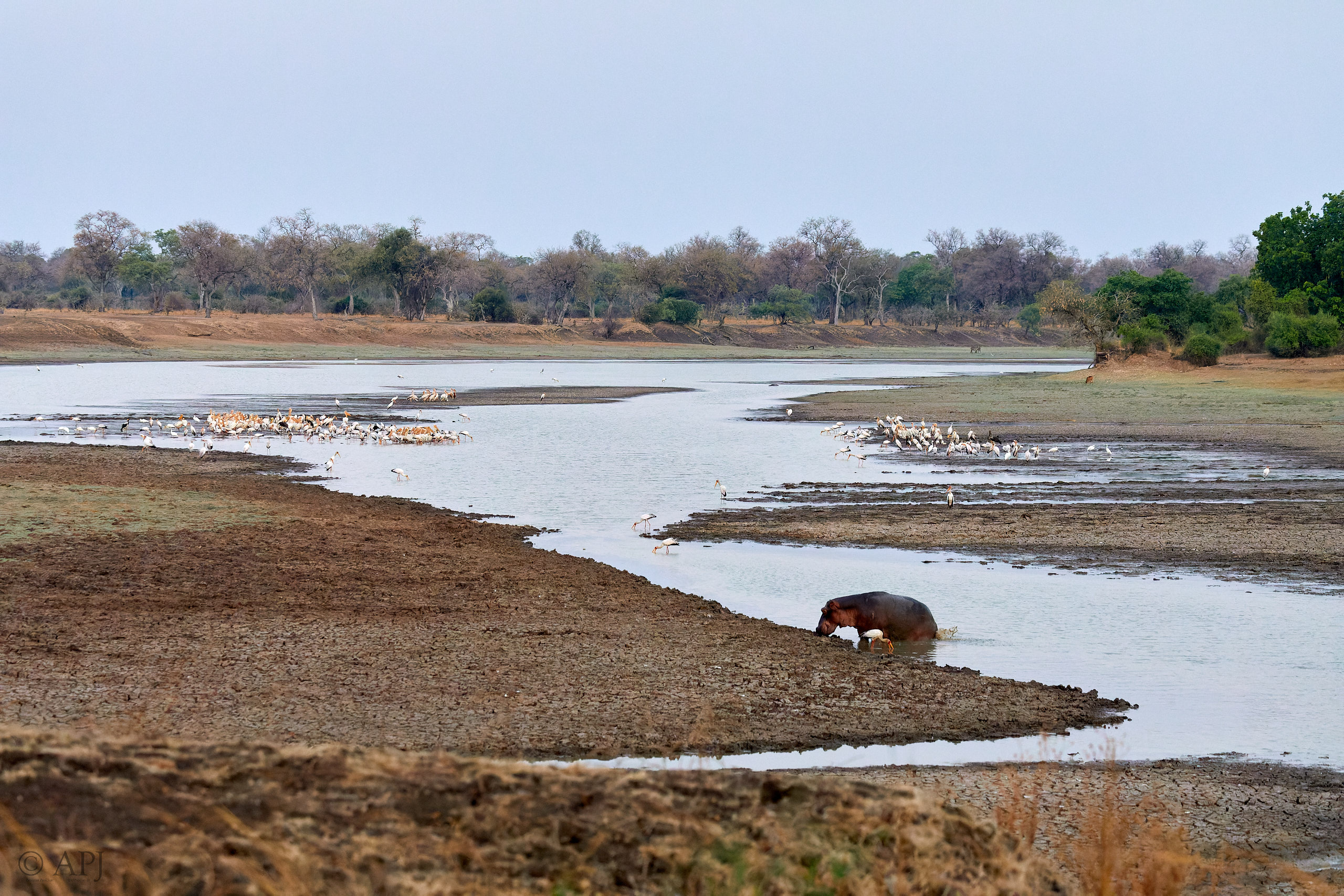 00216 APJ Sambia Malawi 2018 01686 D