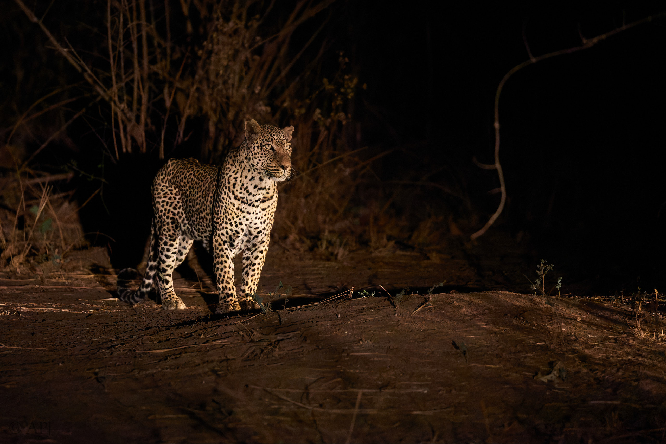 00221 APJ Sambia Malawi 2018 01745