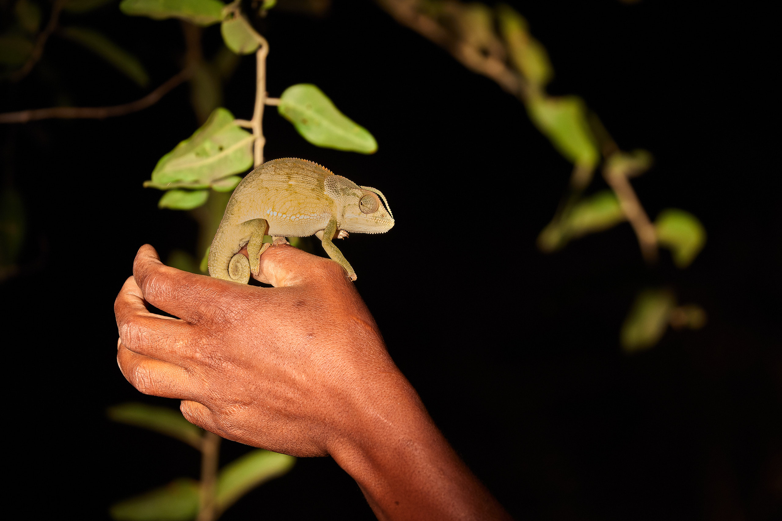 00222 APJ Sambia Malawi 2018 01757