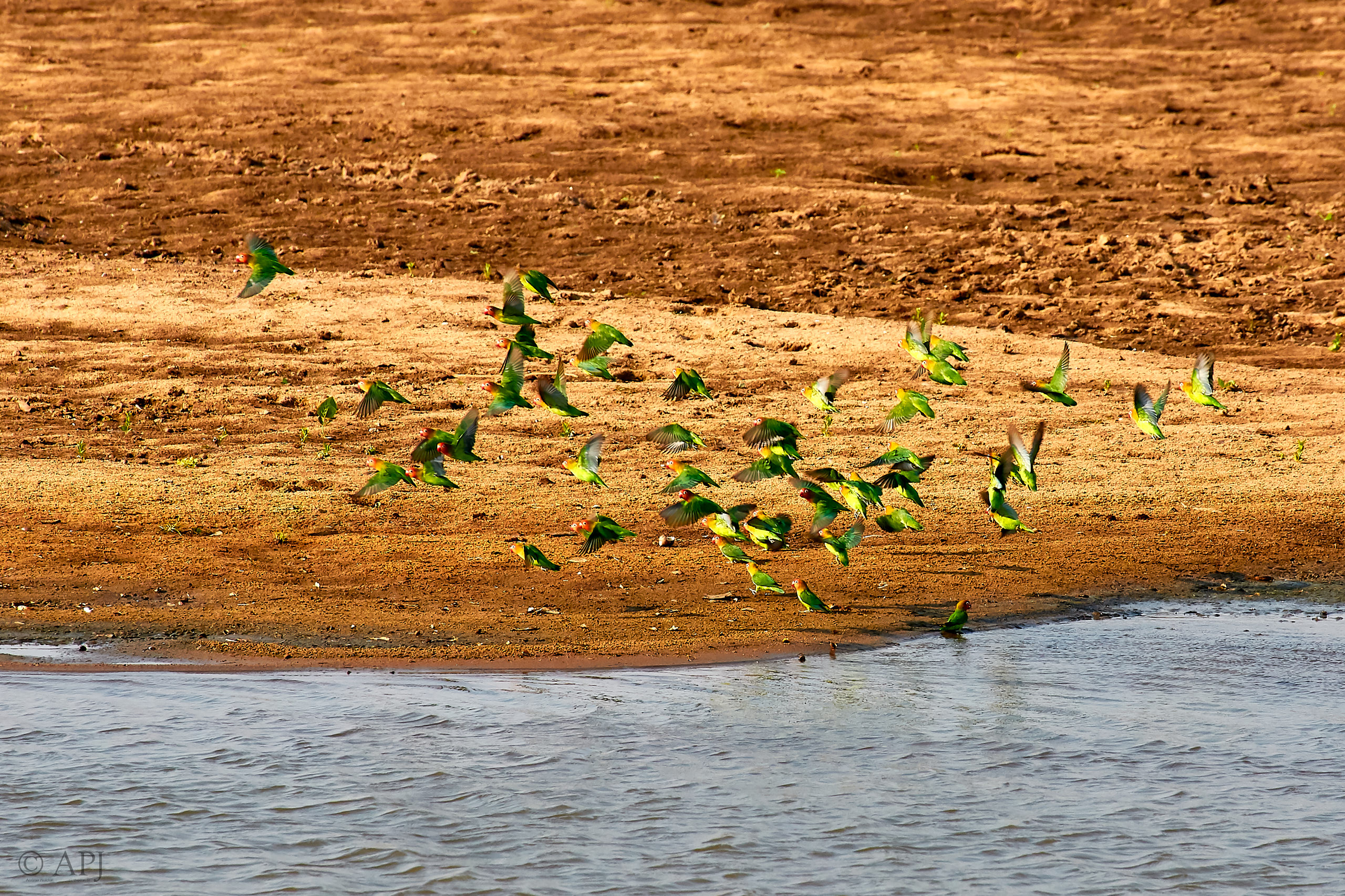 00233 APJ Sambia Malawi 2018 01869