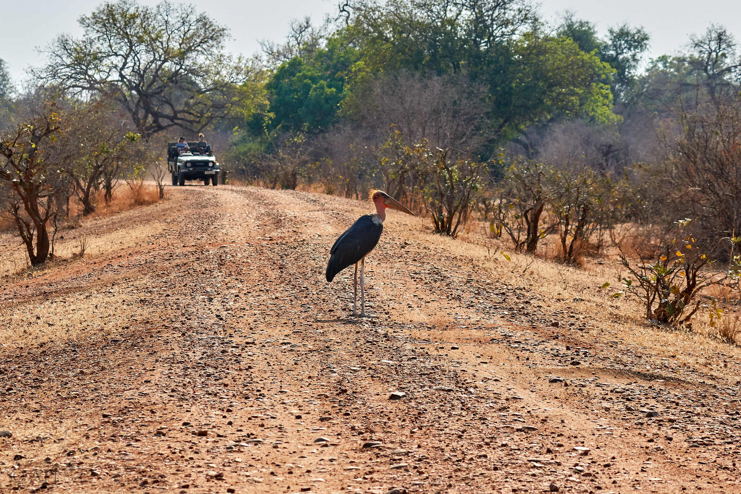 00242 APJ Sambia Malawi 2018 01982