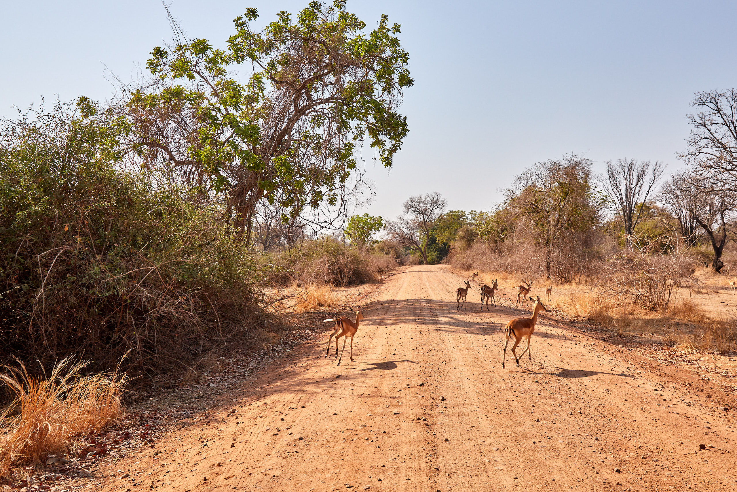 00245 APJ Sambia Malawi 2018 02008