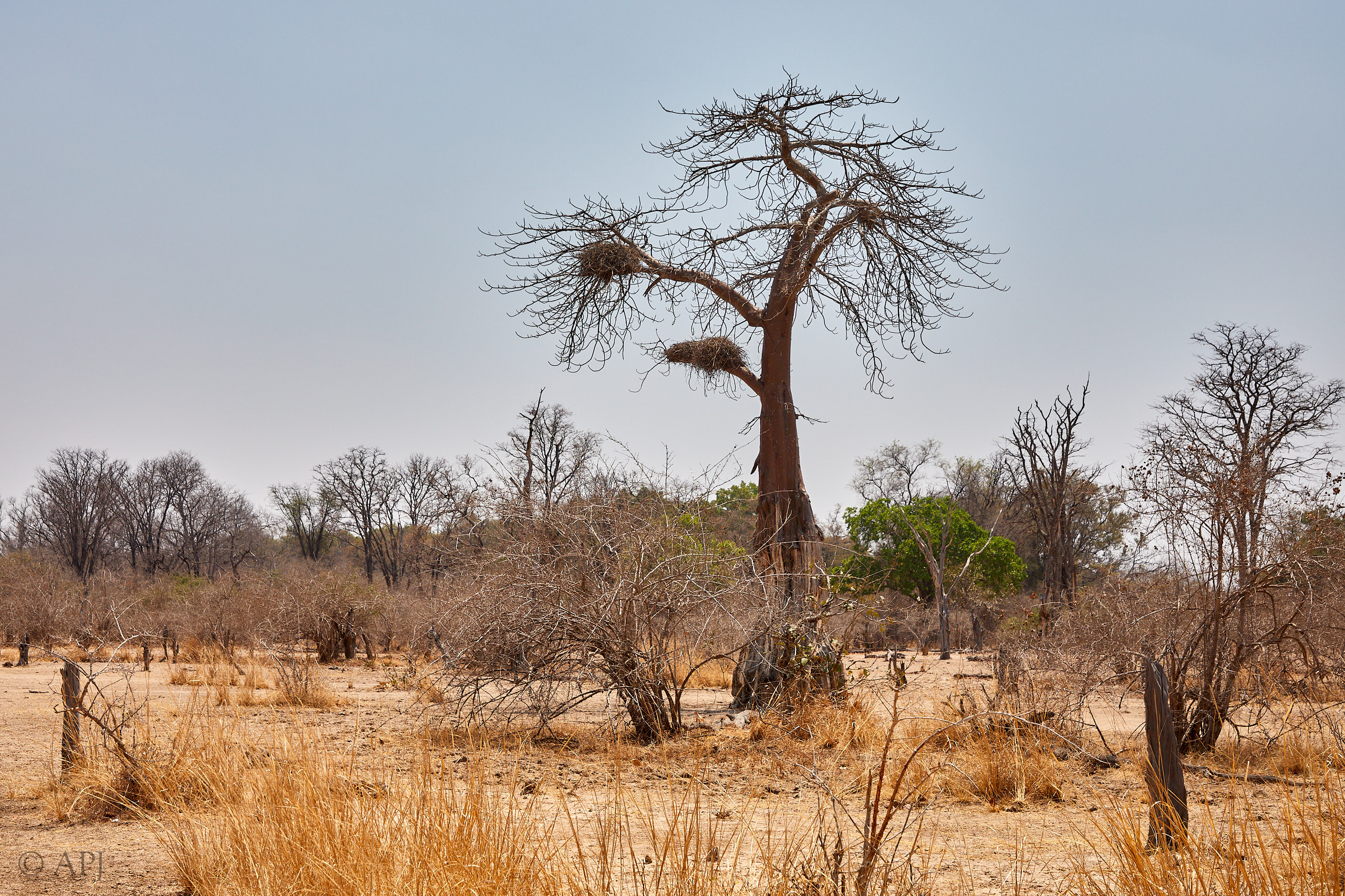 00260 APJ Sambia Malawi 2018 02120