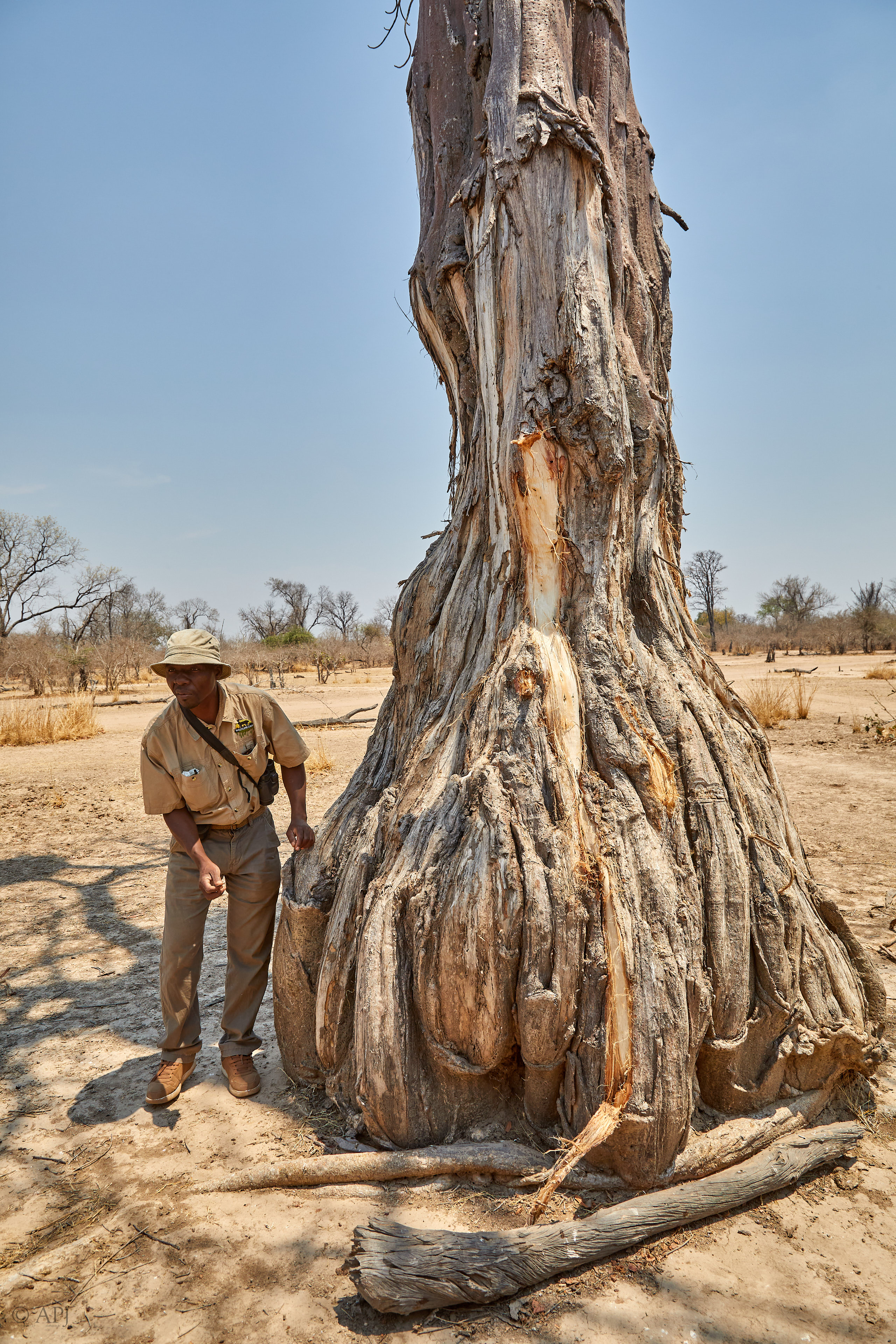 00261 APJ Sambia Malawi 2018 02121