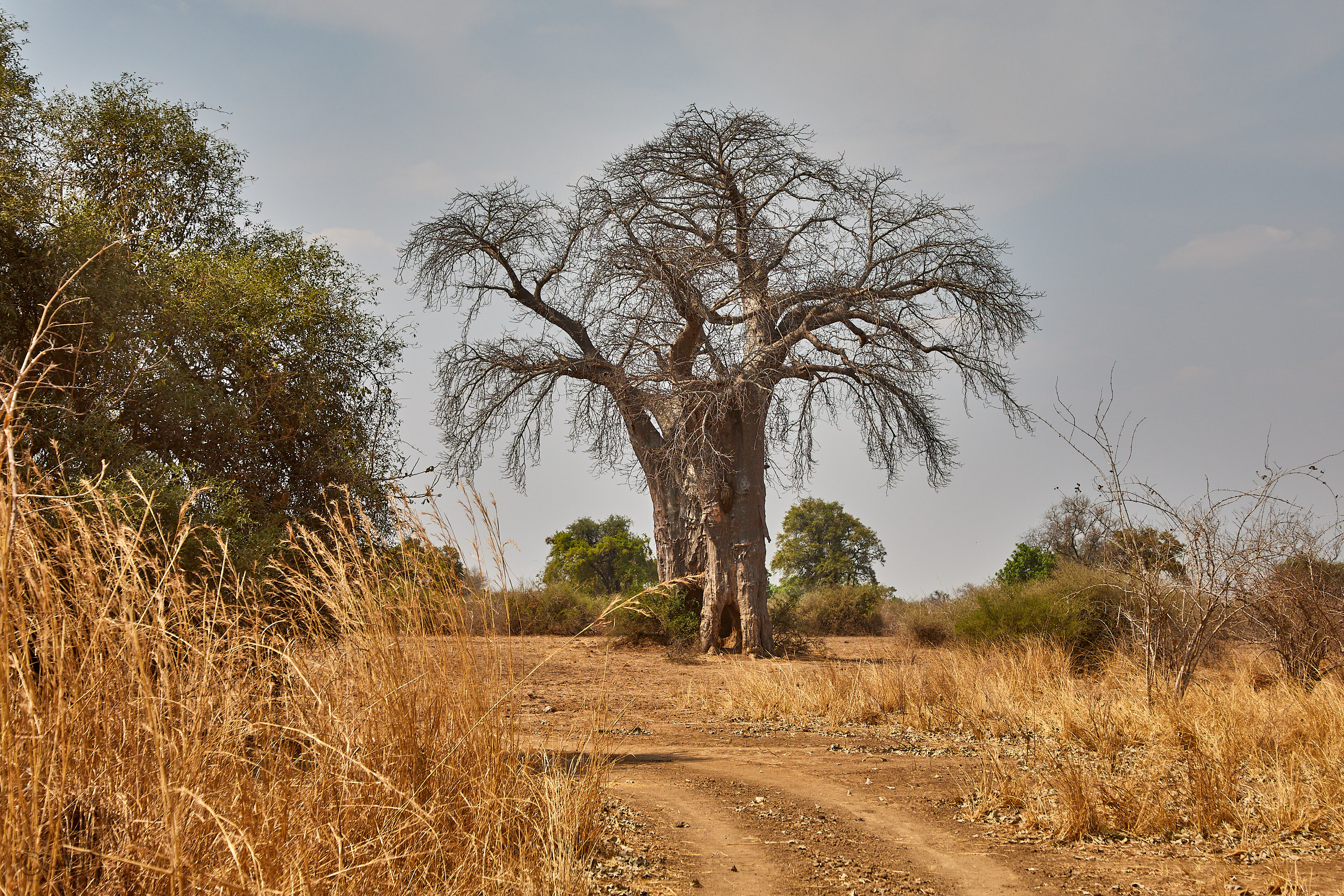 00280 APJ Sambia Malawi 2018 02315
