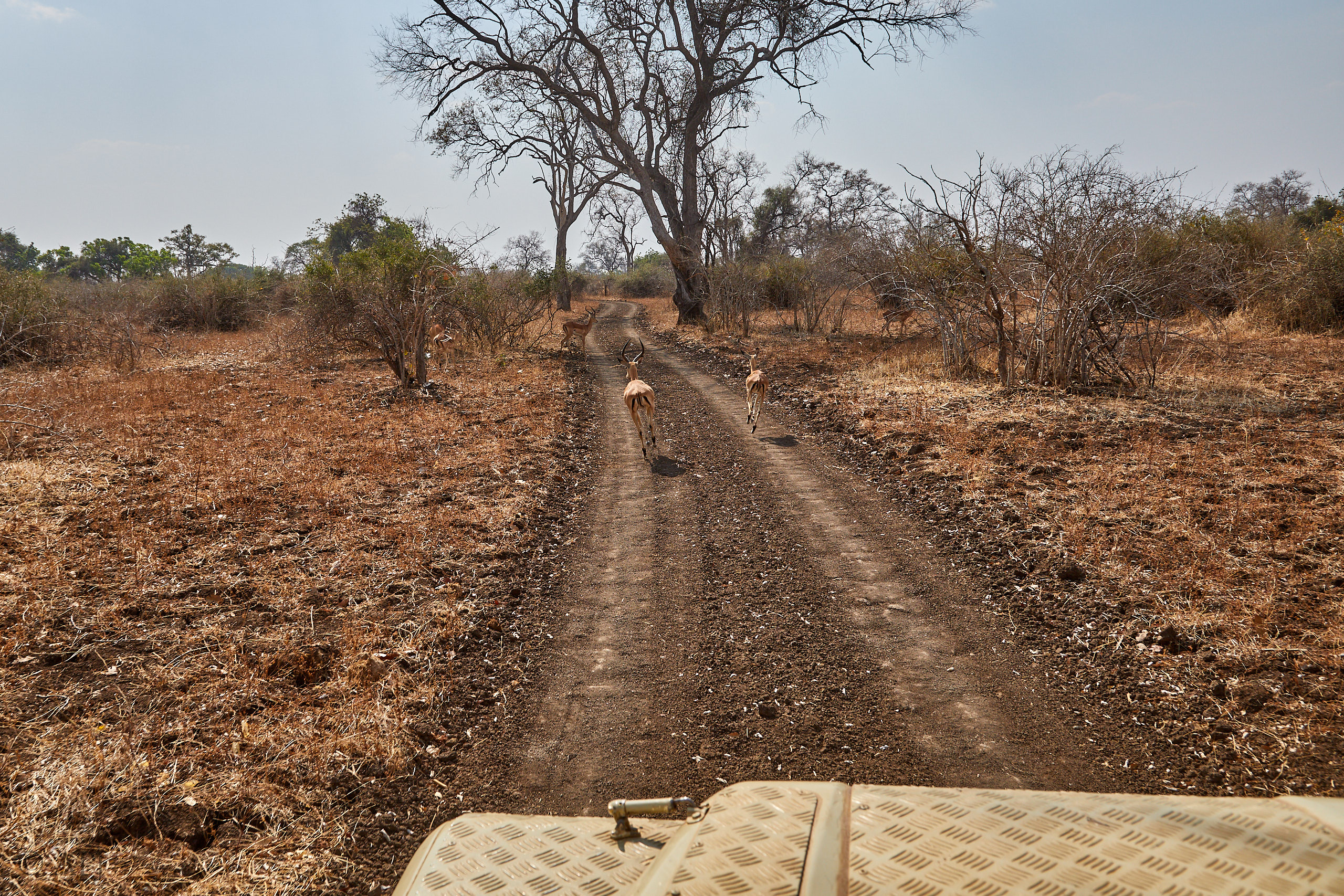 00283 APJ Sambia Malawi 2018 02329