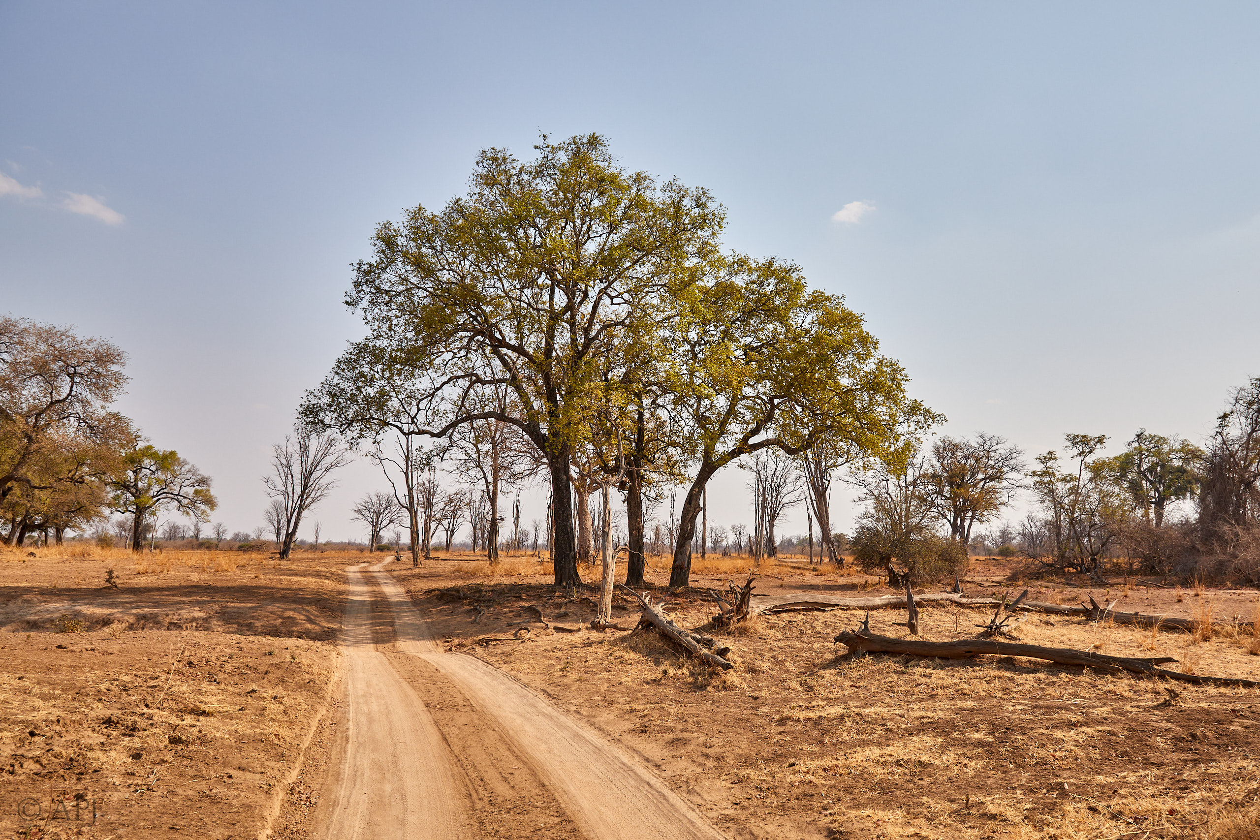 00285 APJ Sambia Malawi 2018 02344