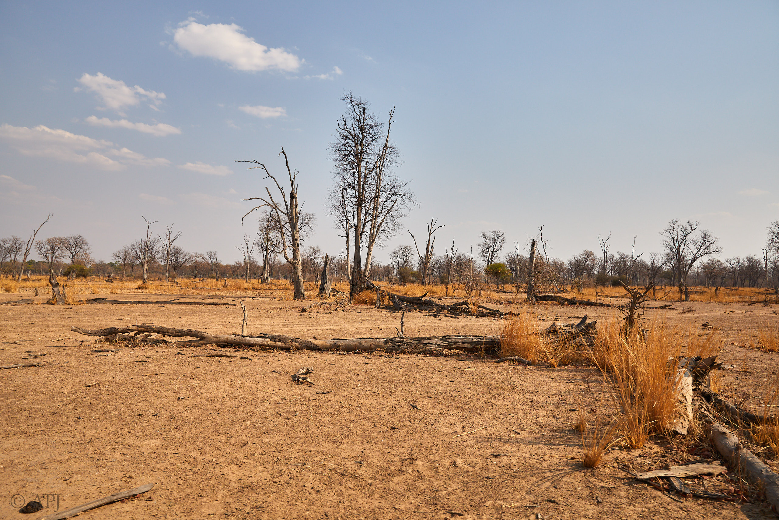 00286 APJ Sambia Malawi 2018 02348