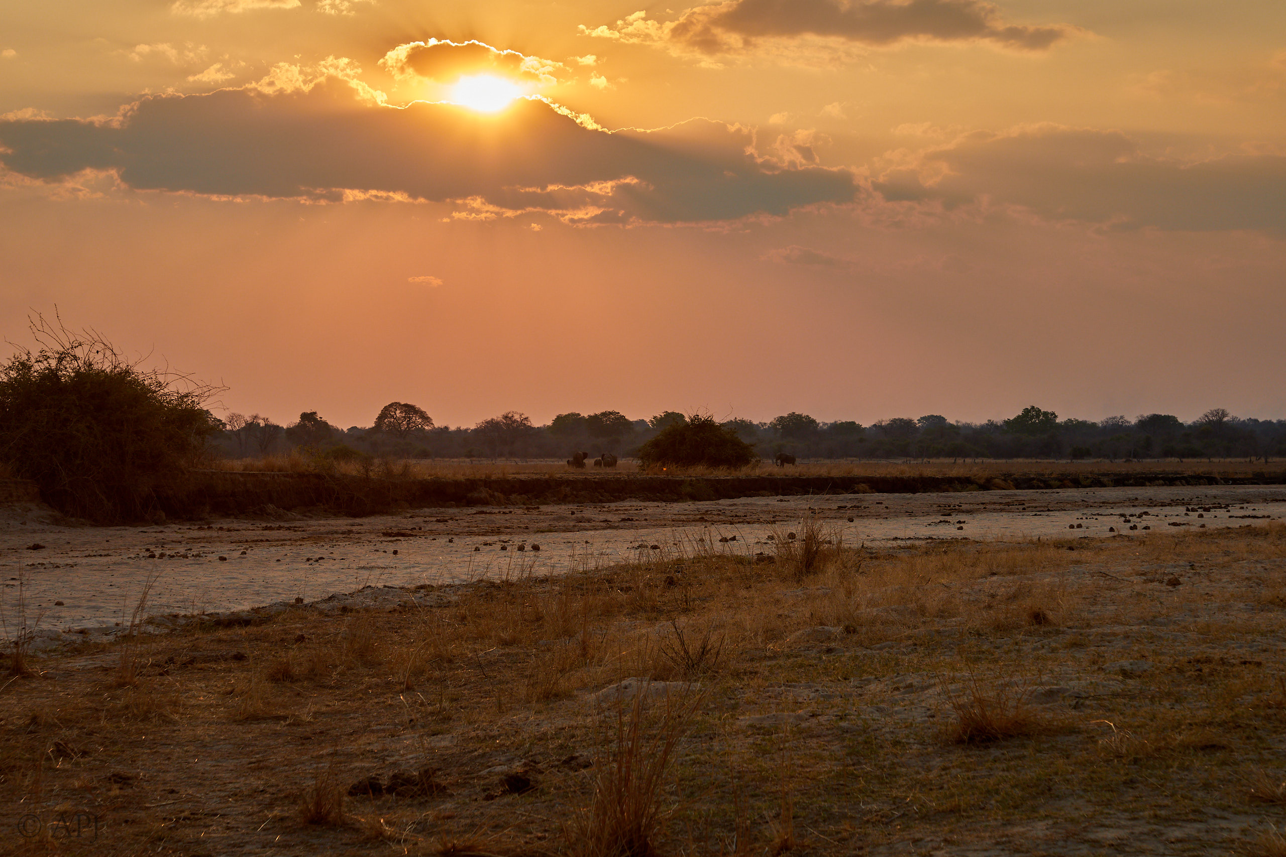 00296 APJ Sambia Malawi 2018 02401