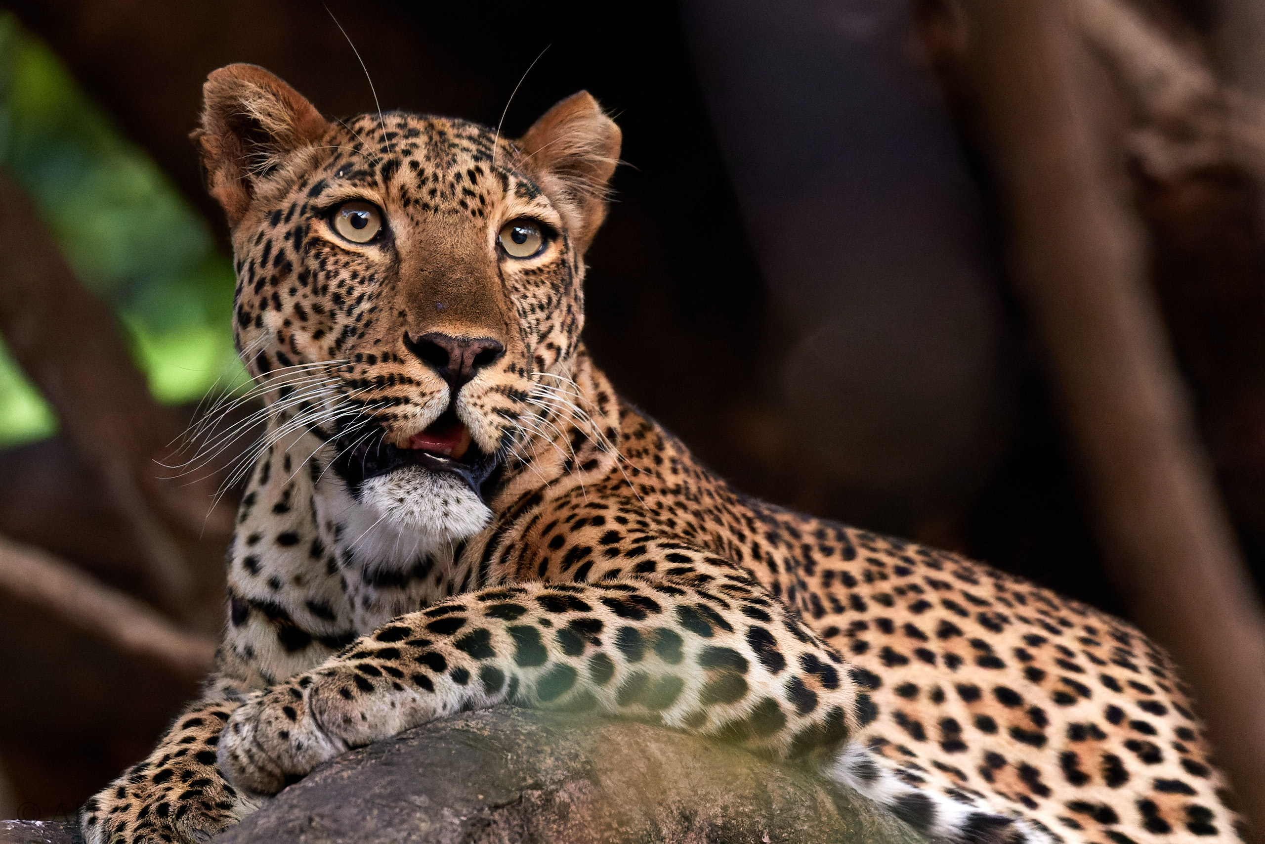 00301 APJ Sambia Malawi 2018 02500