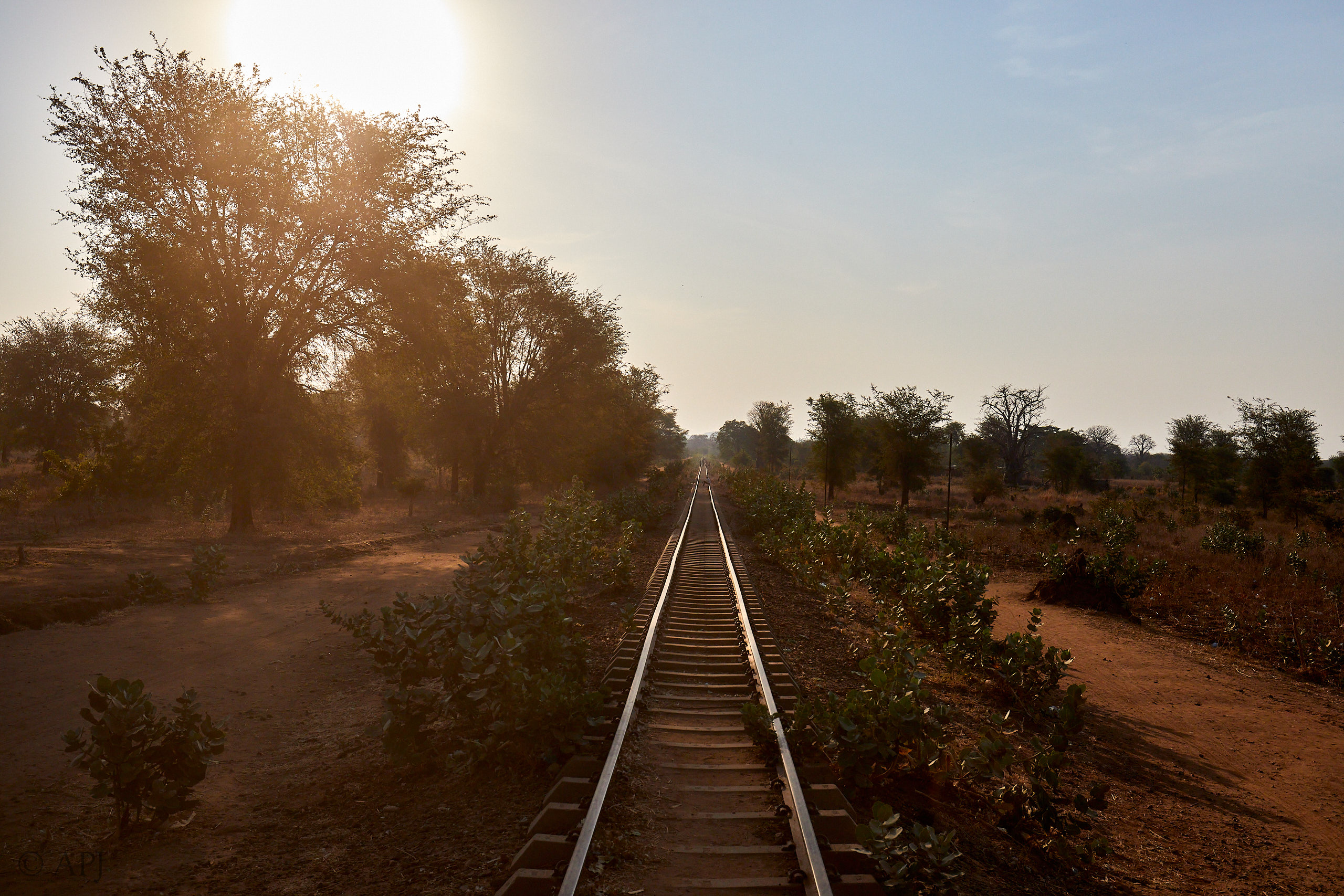 00319 APJ Sambia Malawi 2018 02661