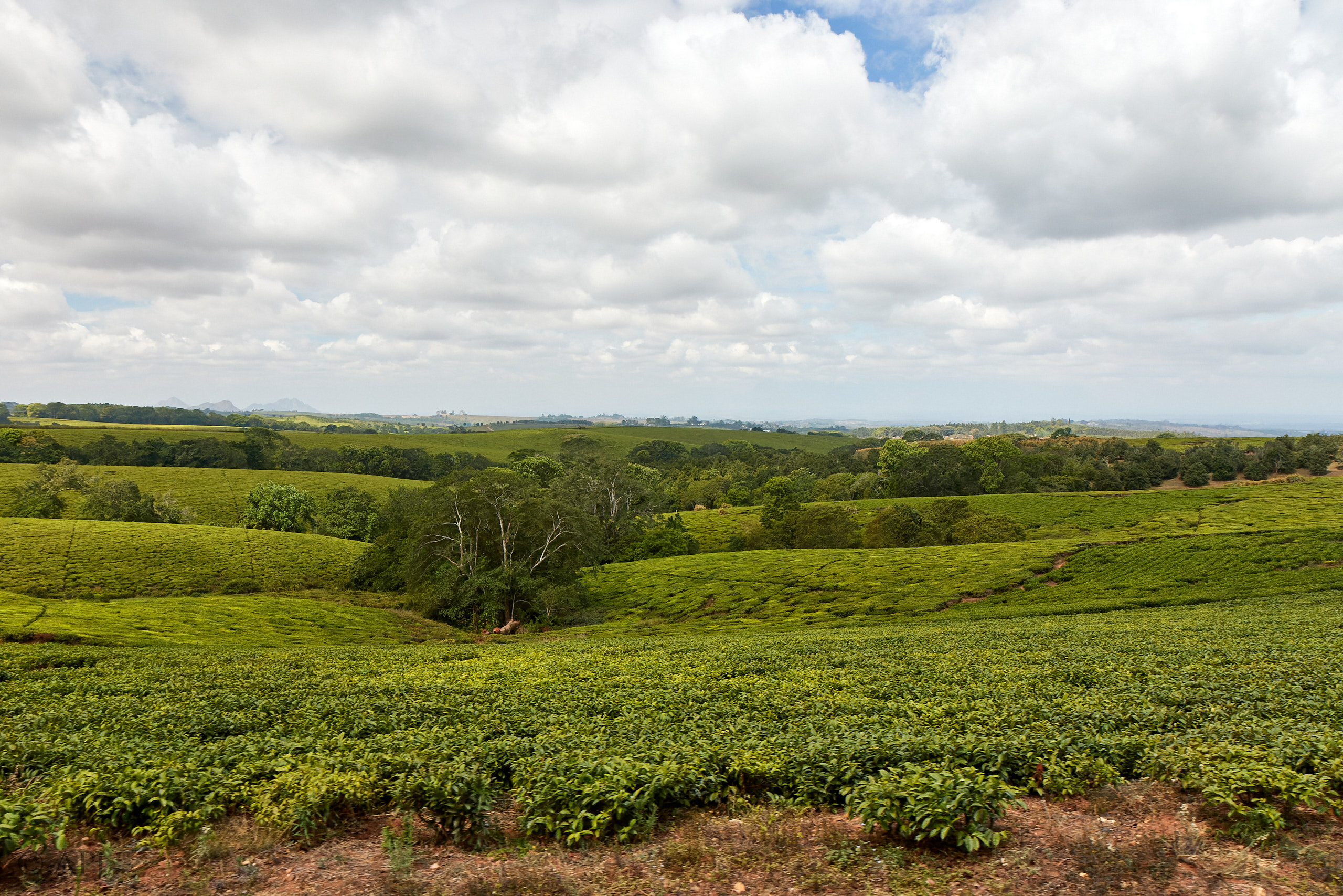 00342 APJ Sambia Malawi 2018 02809 D