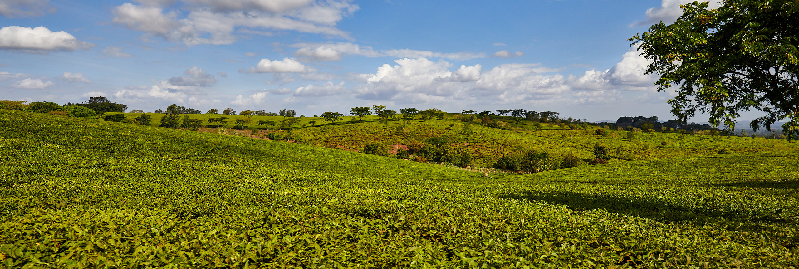 00350 APJ Sambia Malawi 2018 02849