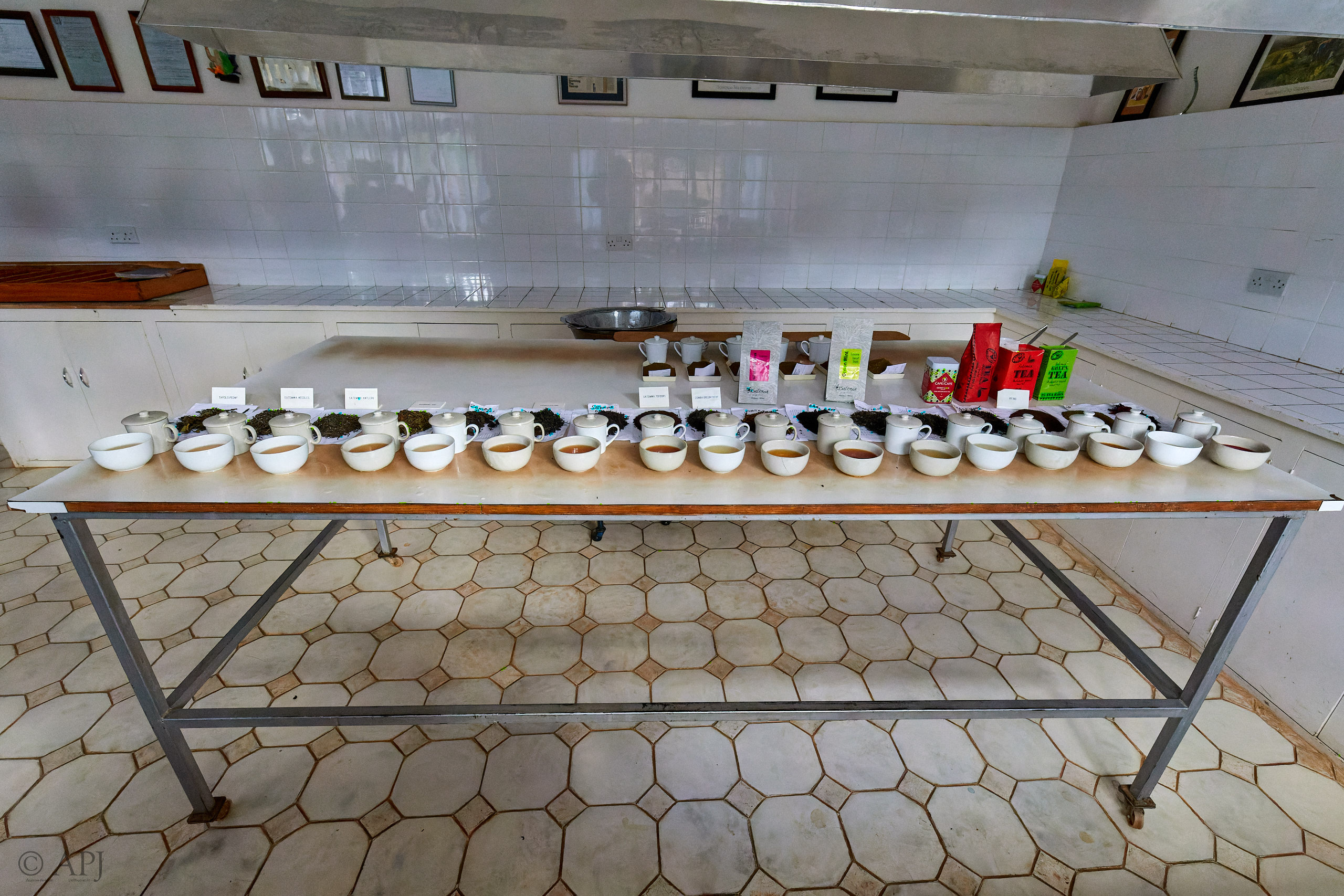 00354 APJ Sambia Malawi 2018 02861 D