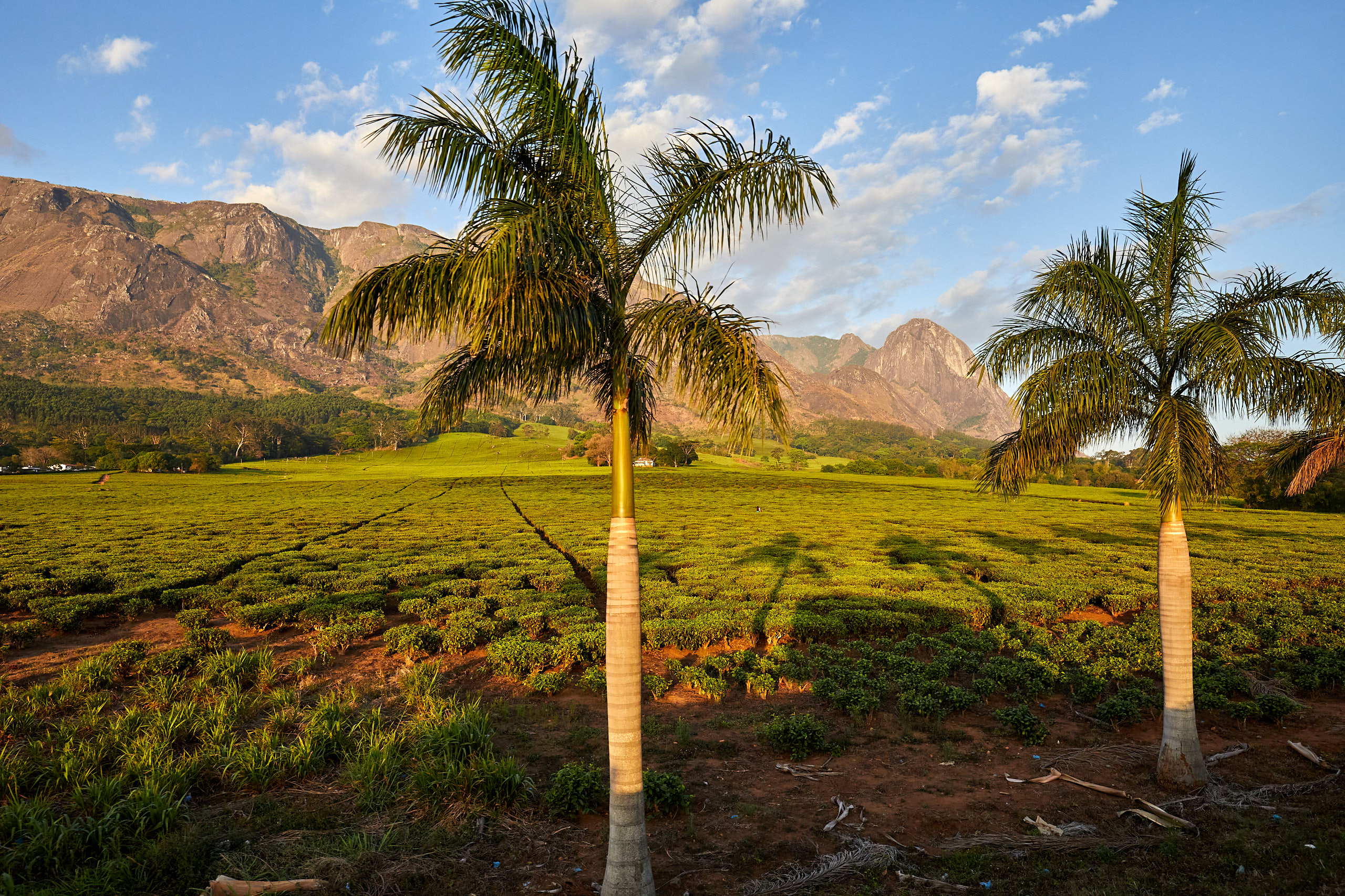 00364 APJ Sambia Malawi 2018 02903