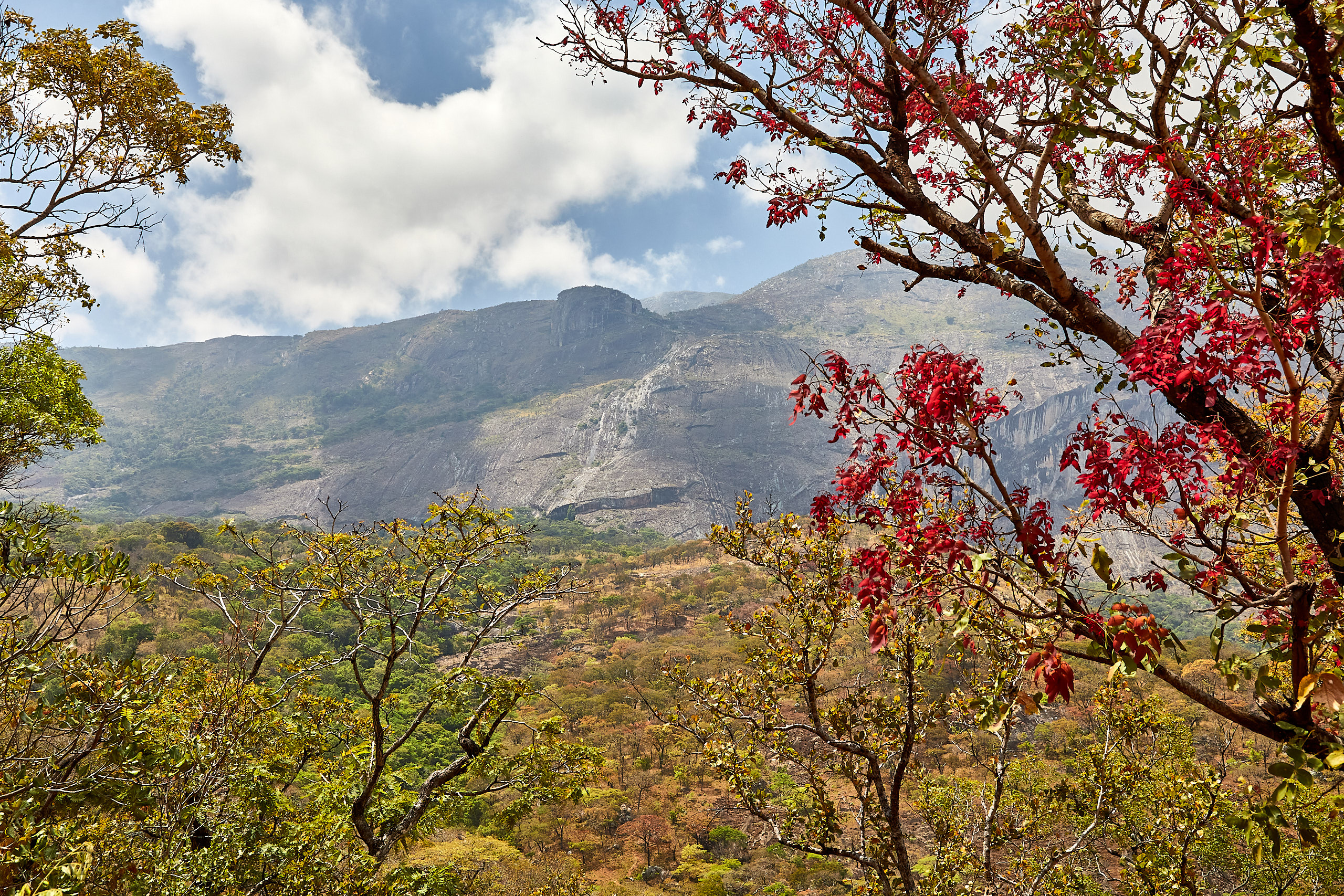 00374 APJ Sambia Malawi 2018 02942